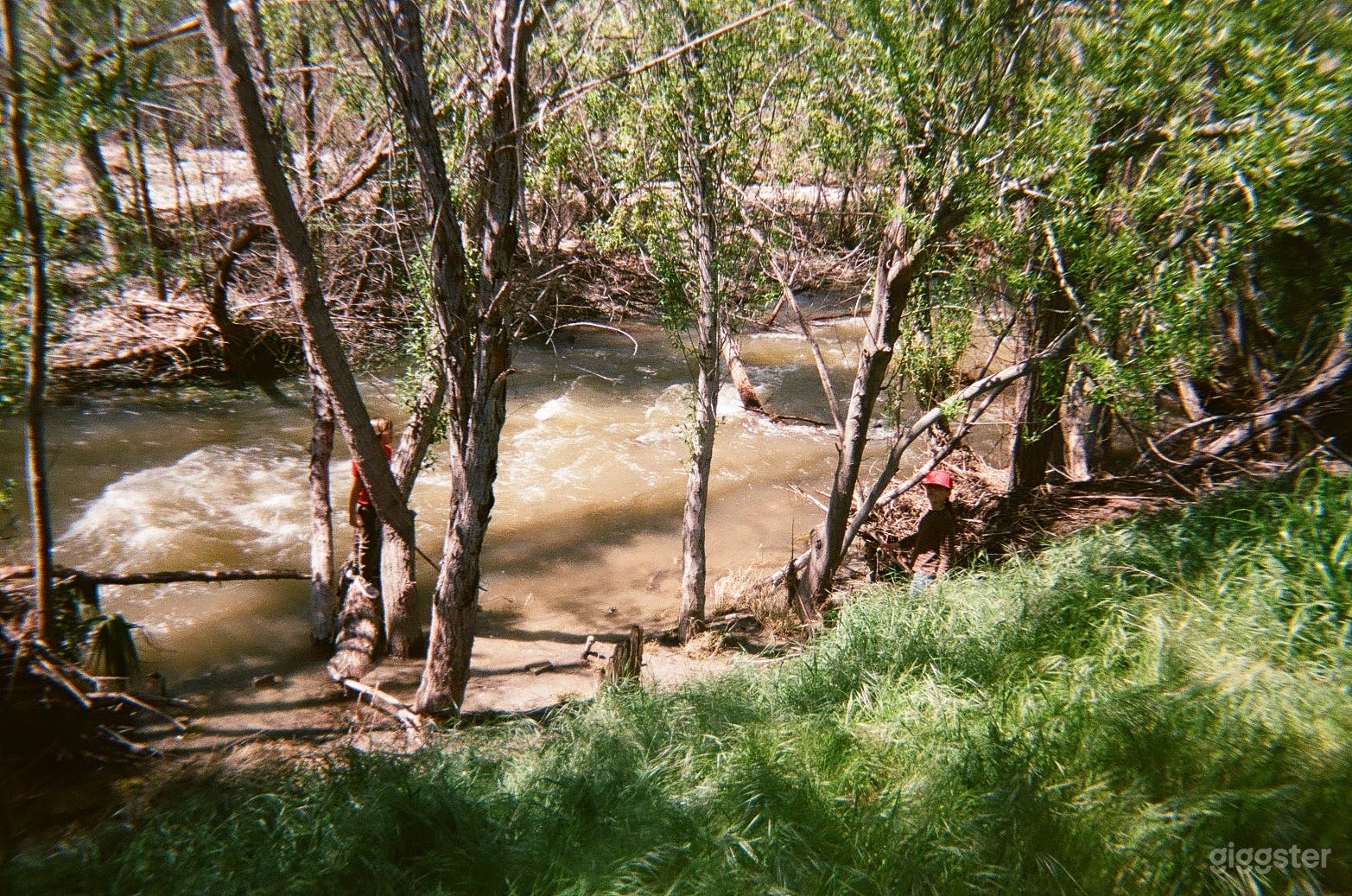 Rushing Creek (winter)