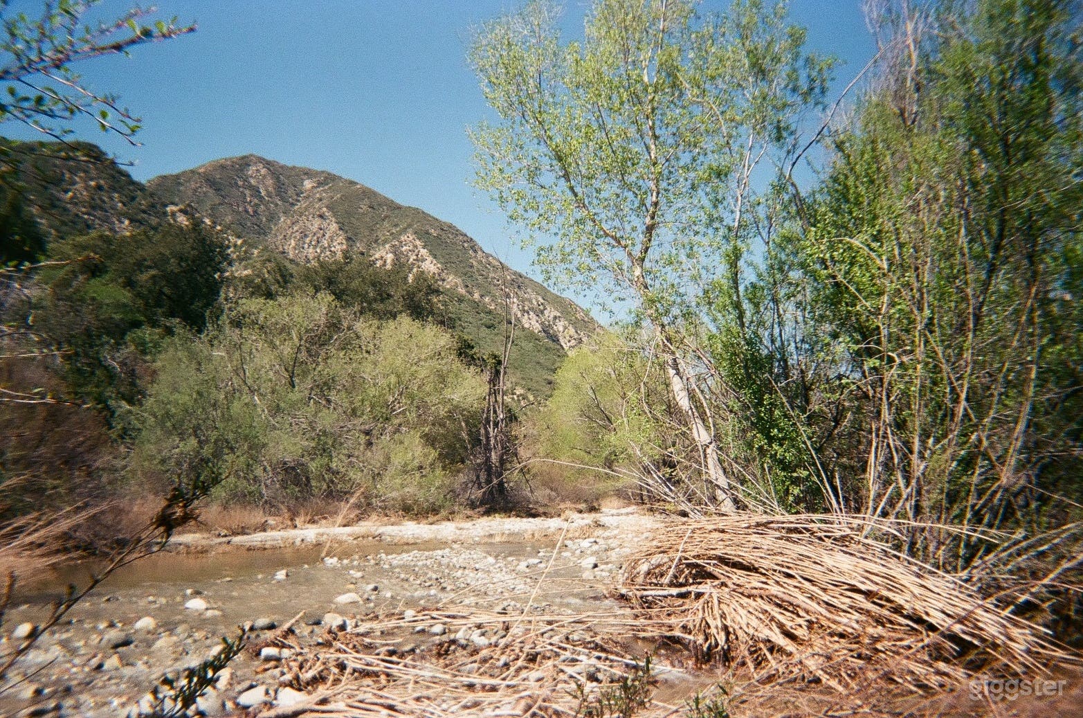 Rocky Meadow (across creek)