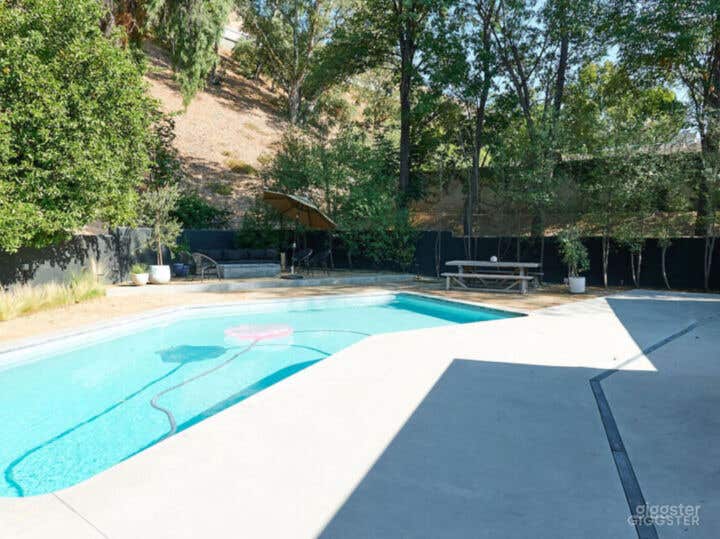 Mid-century Modern Pool Photo 1