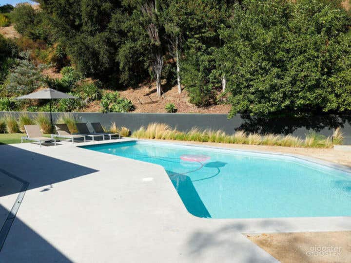 Mid-century Modern Pool Photo 2