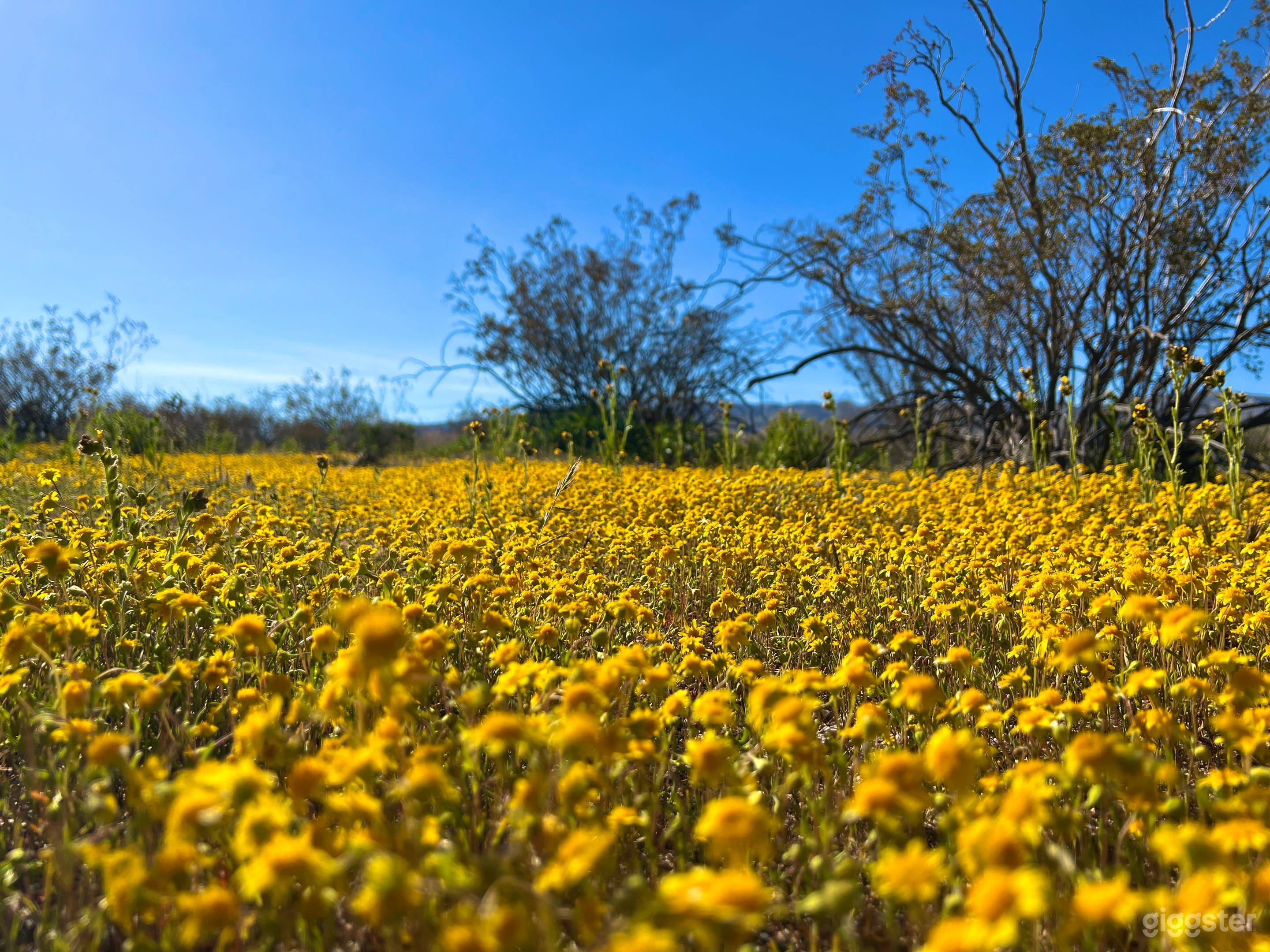 Desert Land Space with Mountain Sunset Views Photo 4