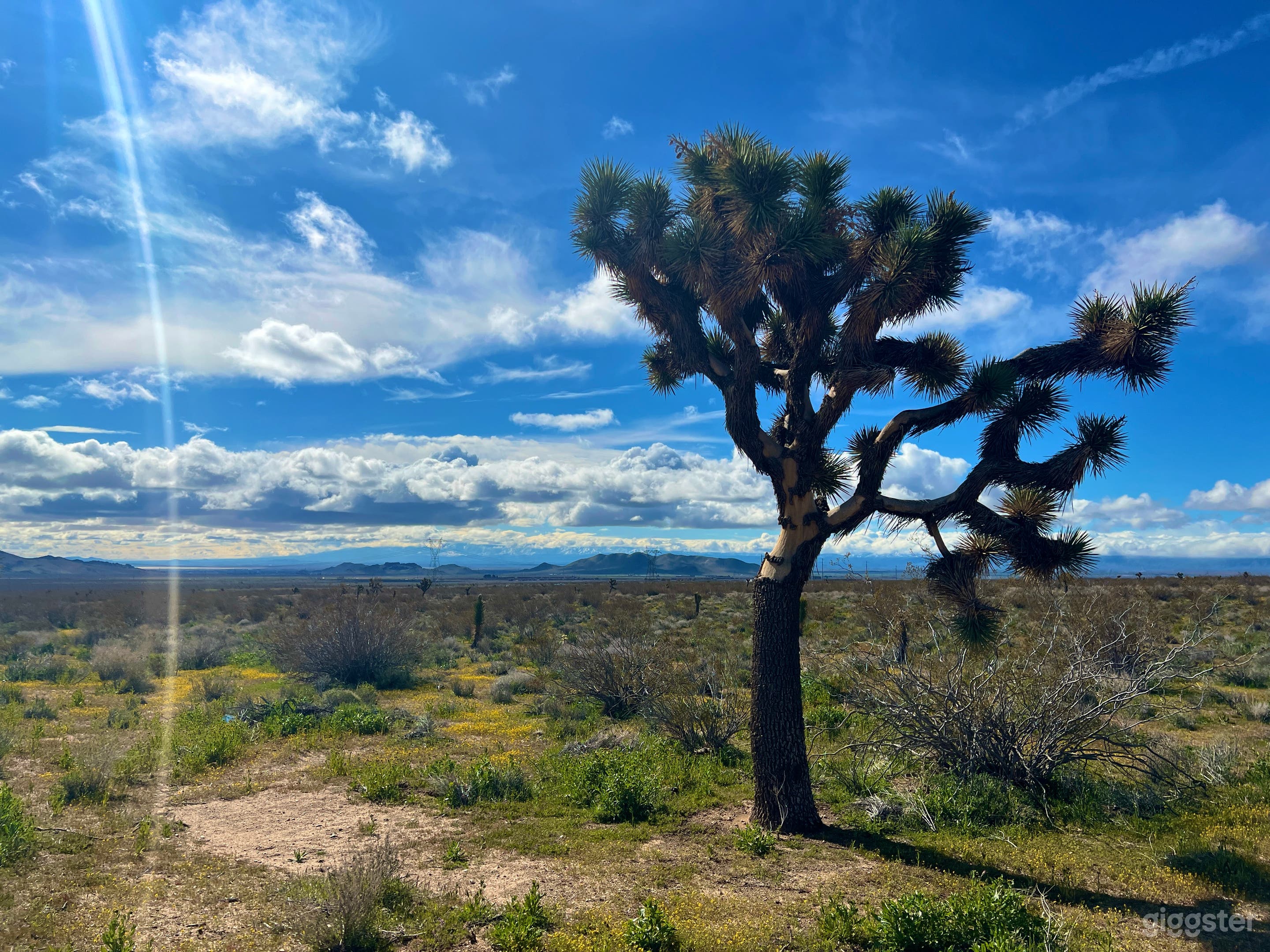 Desert Land Space with Mountain Sunset Views Photo 2