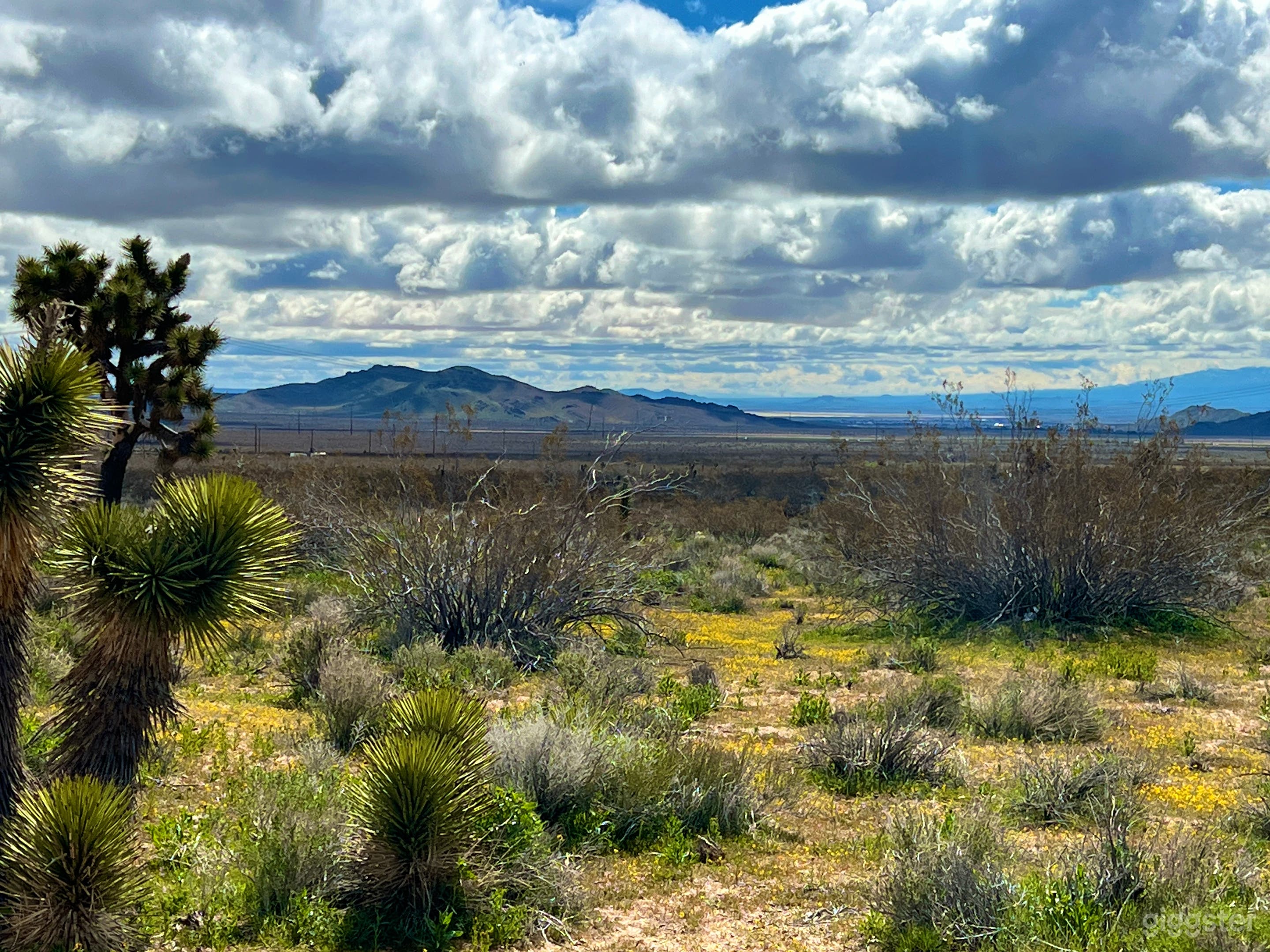 Desert Land Space with Mountain Sunset Views Photo 1
