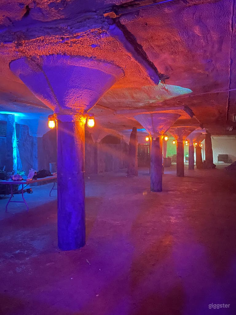  Basement looking to rear w/torch lights on 