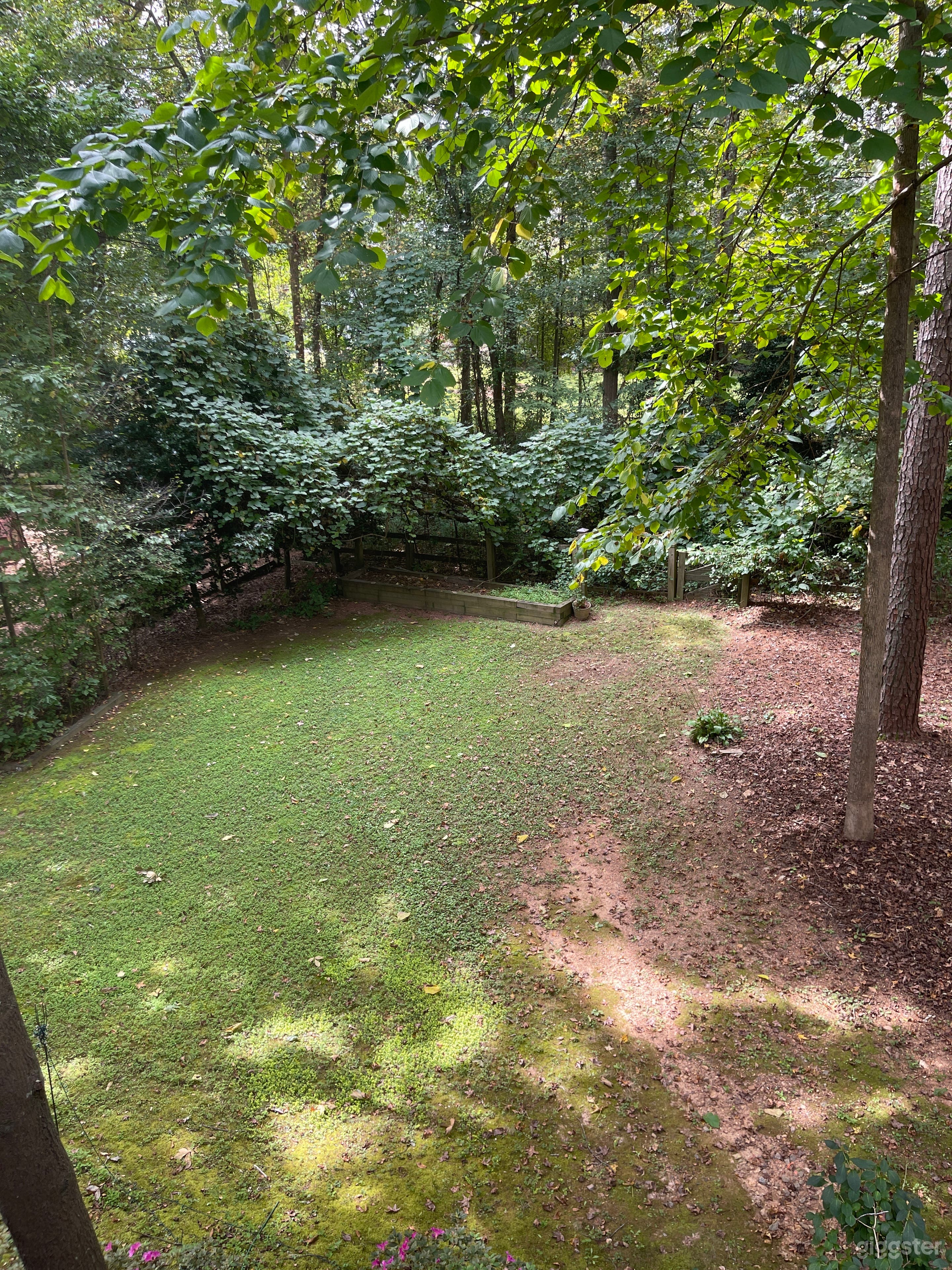 Backyard for days… perfect level area. 