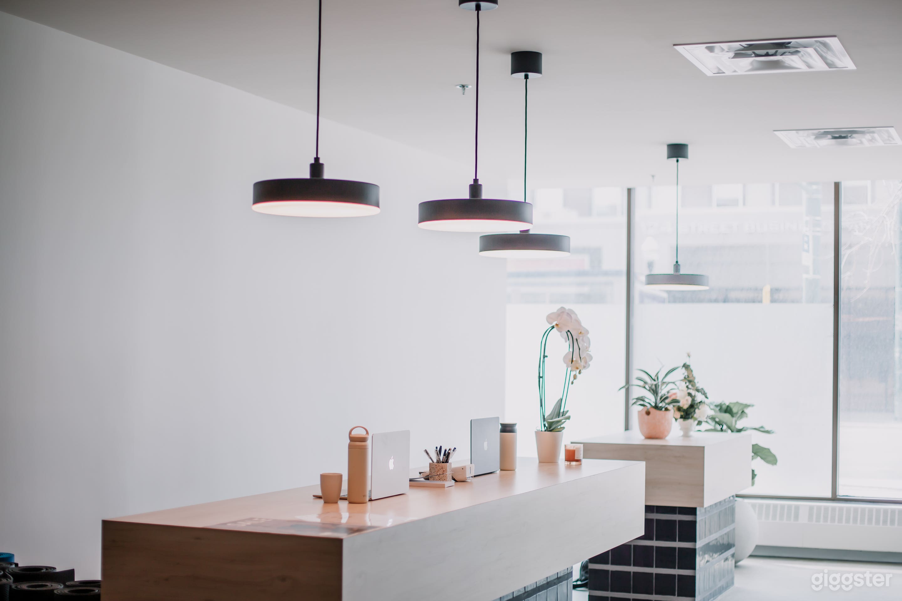 Bright and Open Reception Area: The reception welcomes guests with clean, modern decor and natural lighting, offering an ideal space for casual meetings or as a filming set for welcoming scenes.