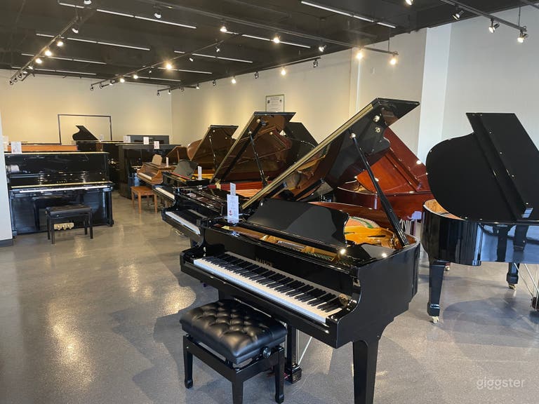  Spacious, light-filled, luxury piano store, Tempe 