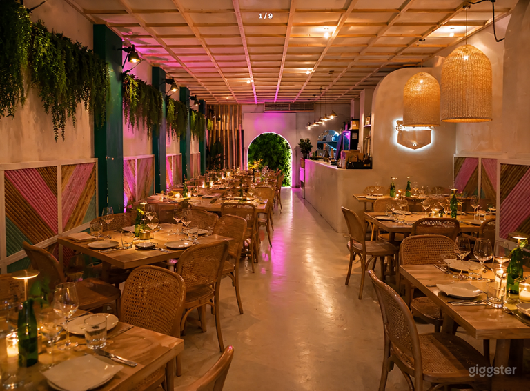 Colorful Modern Café & Restaurant with Vibrant Tropical Vibe 