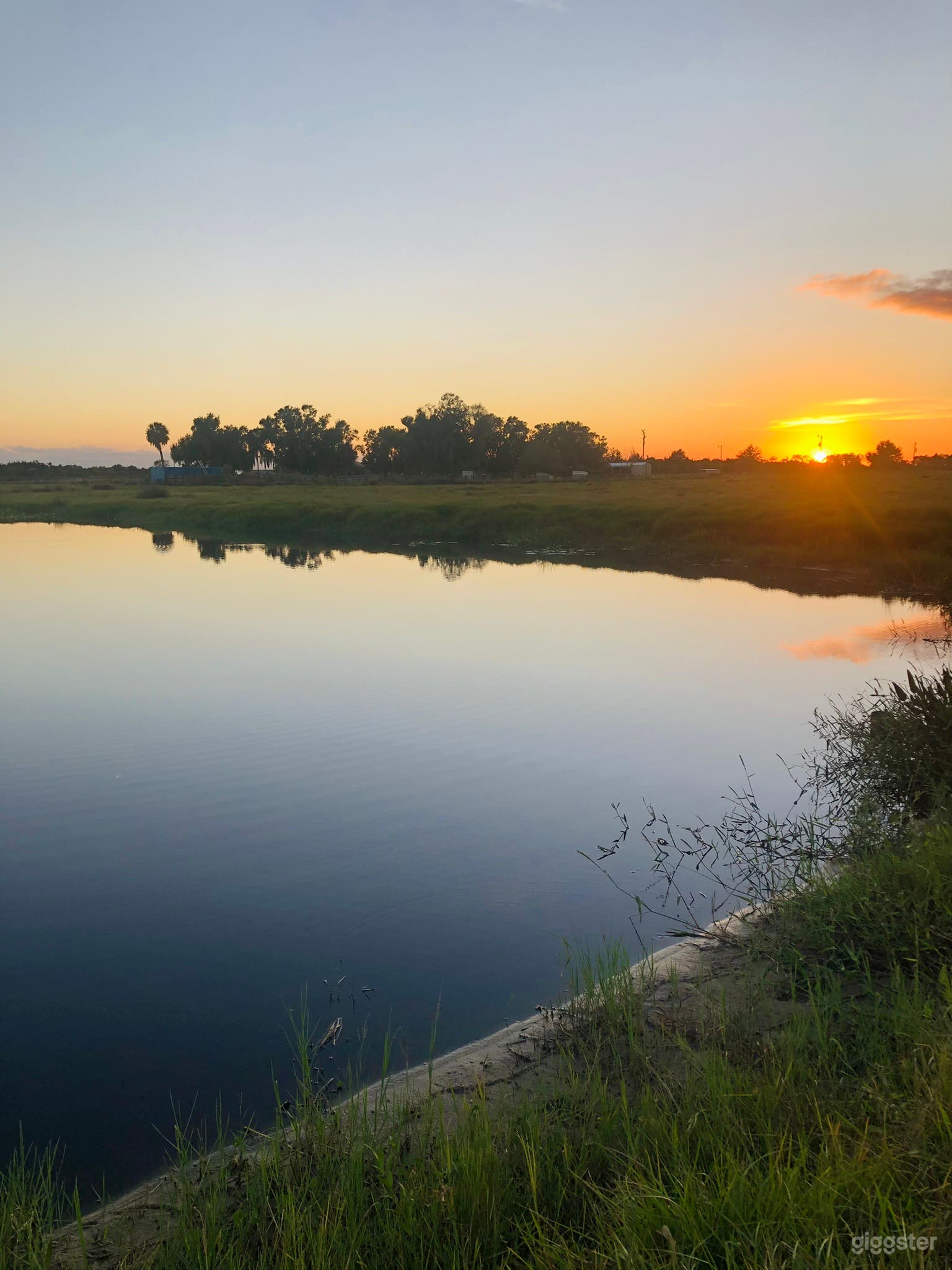 Spacious Family Ranch and Farm Animals Photo 3