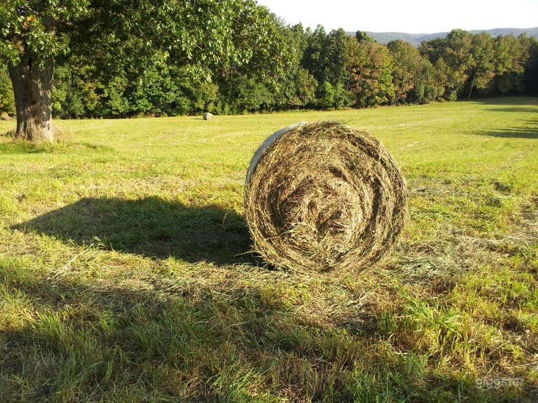  Mountains & fields, 11+ acre Americana < 45 mi NYC 