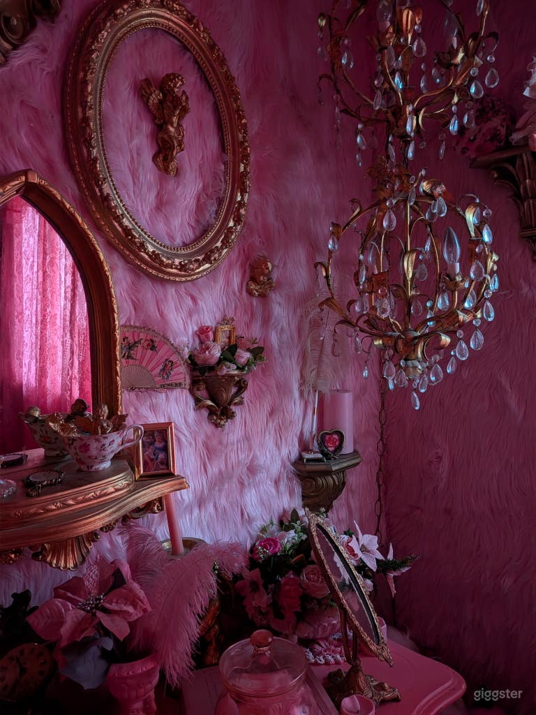  Pink Playroom Cute Boudoir Photo/Video Set 