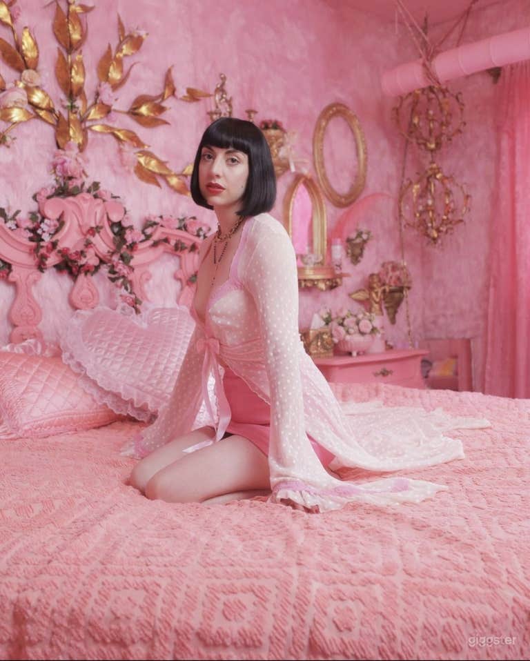  Pink Playroom Cute Boudoir Photo/Video Set 