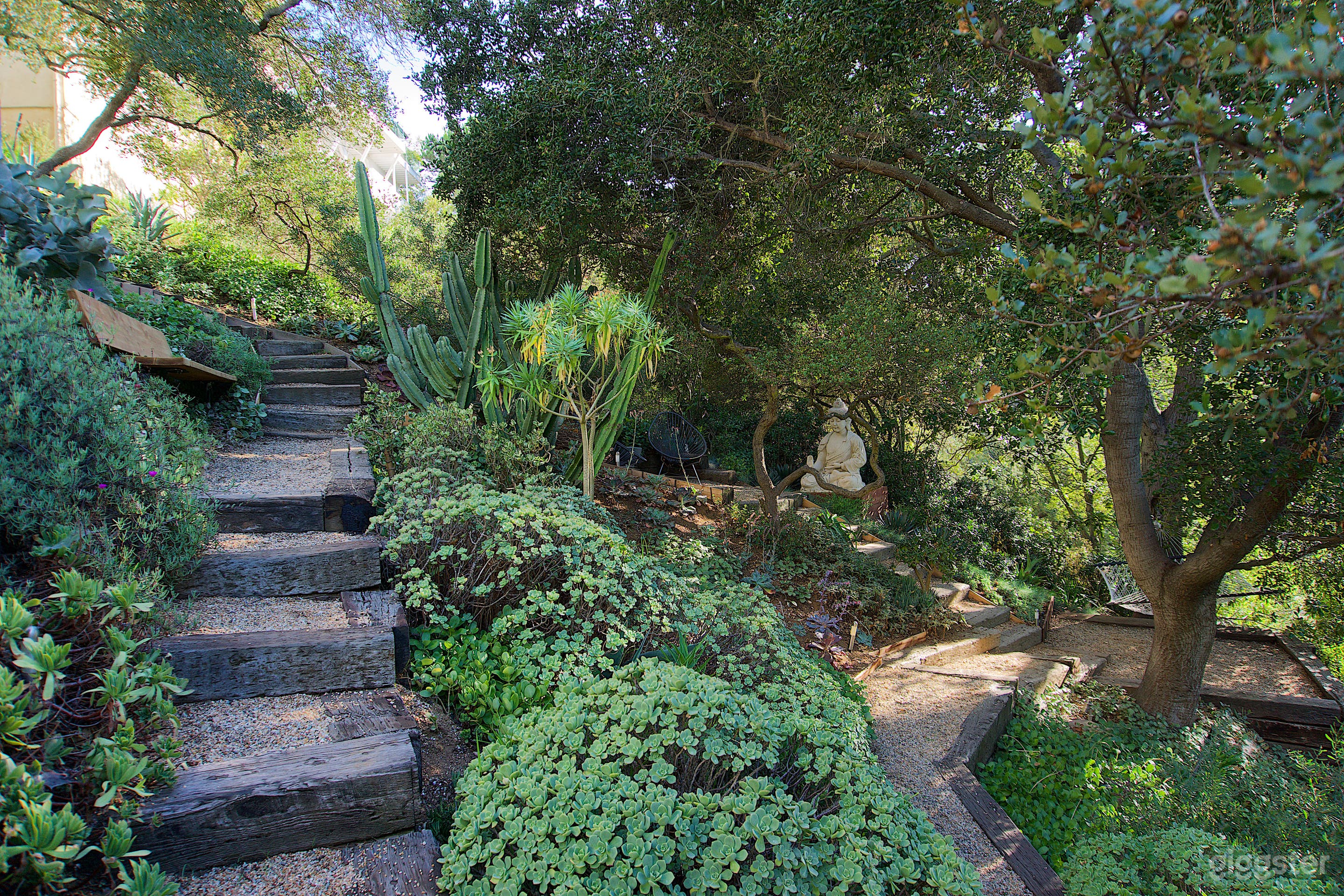 Modern Zen Garden Oasis in Laurel Canyon Photo 3