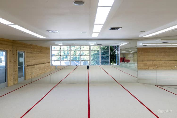 Dance Studio-Hot Yoga and More - Beverly Hills  Photo 4