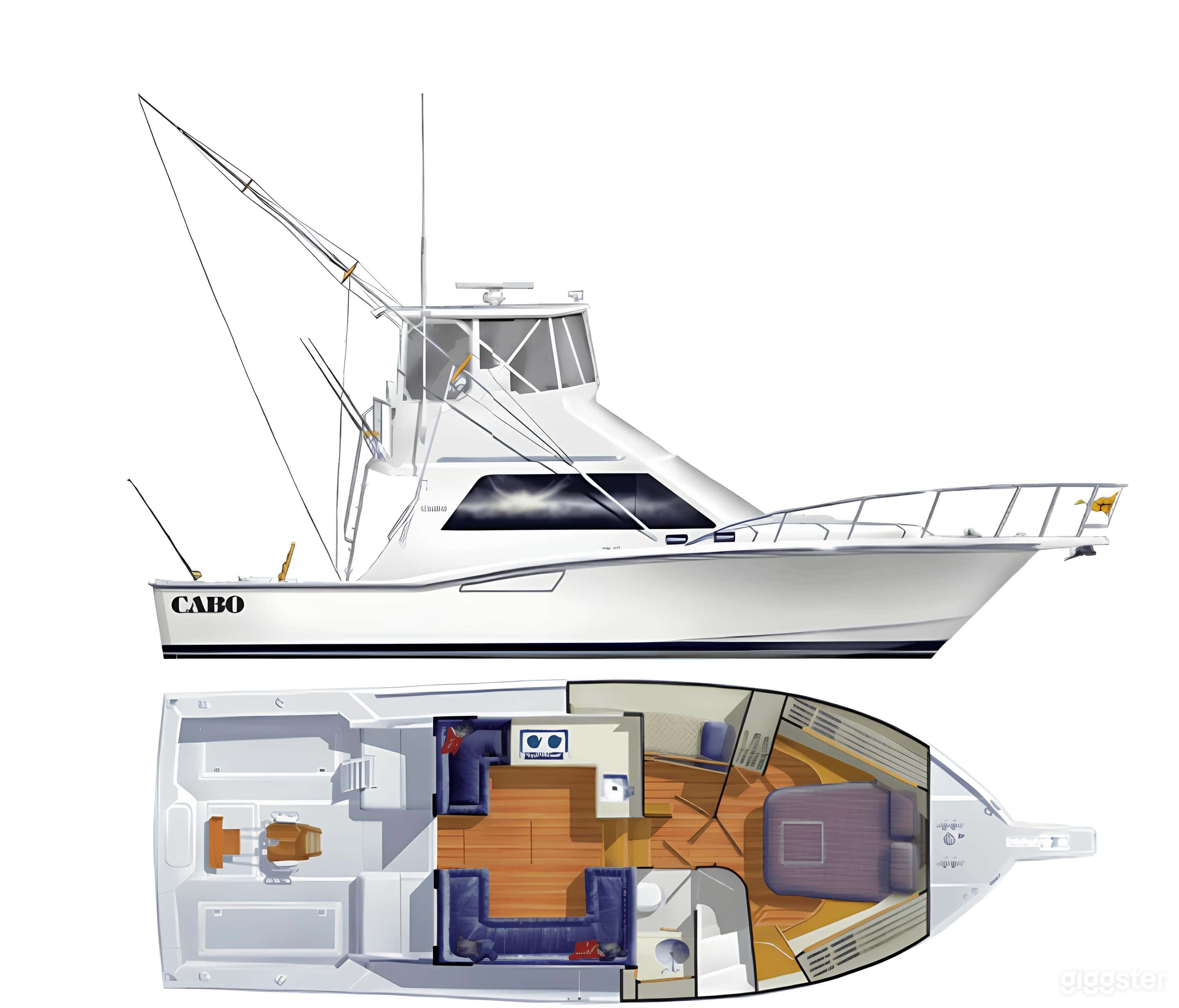 Last Cast 35' Cabo Flybridge FISHING CHARTER Photo 3