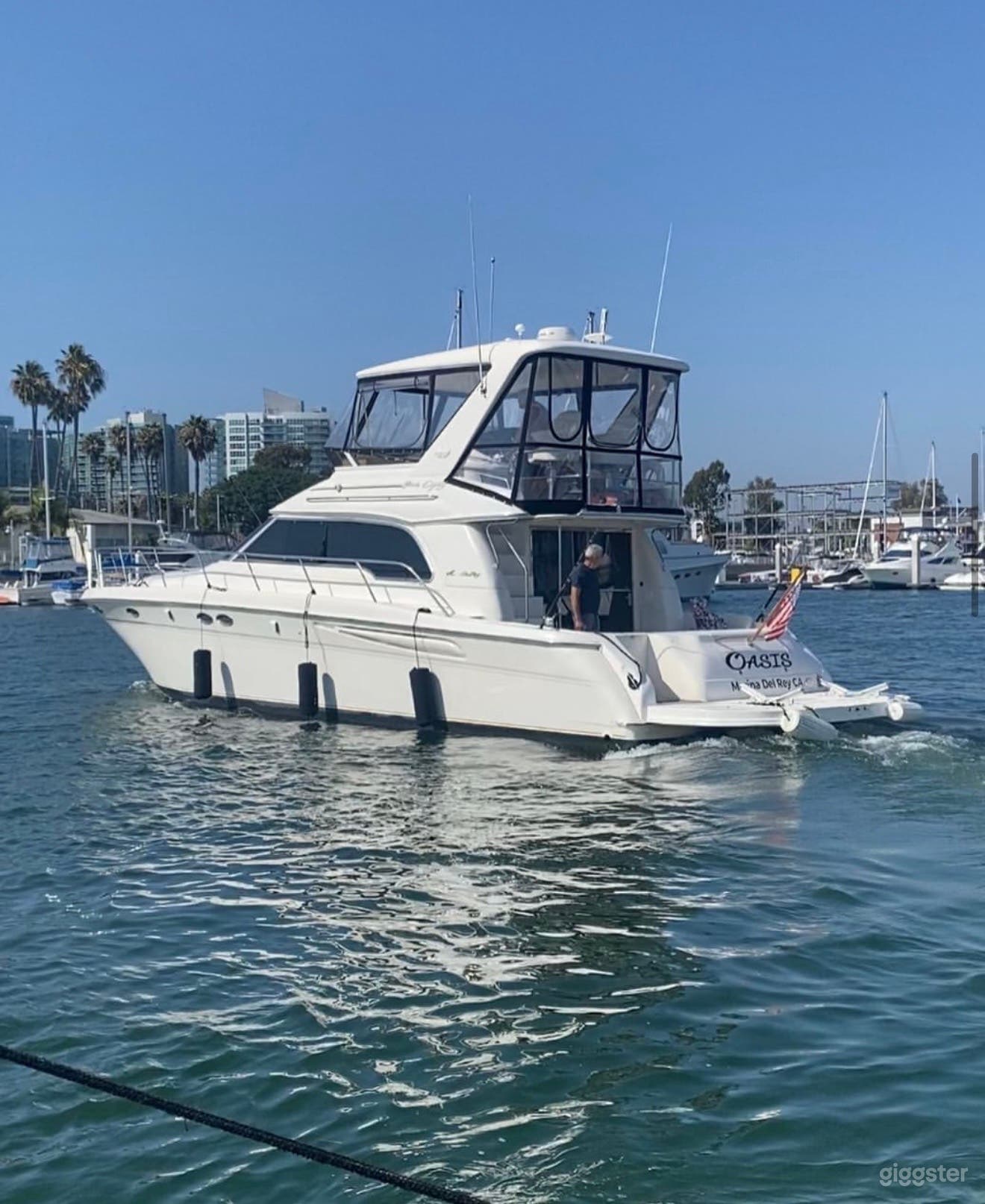 Luxury Sea Ray 480 Sedan Bridge Yacht Charter Photo 2
