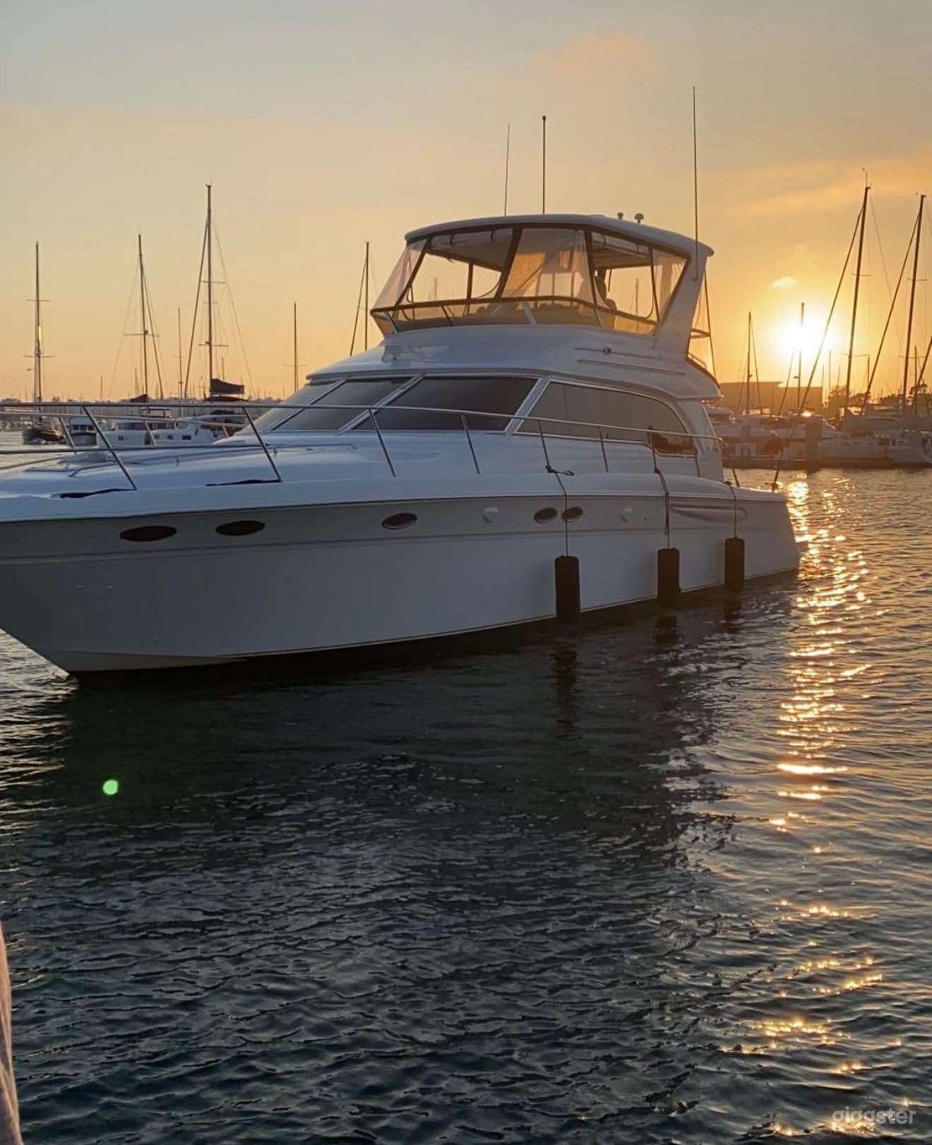 Luxury Sea Ray 480 Sedan Bridge Yacht Charter Photo 1