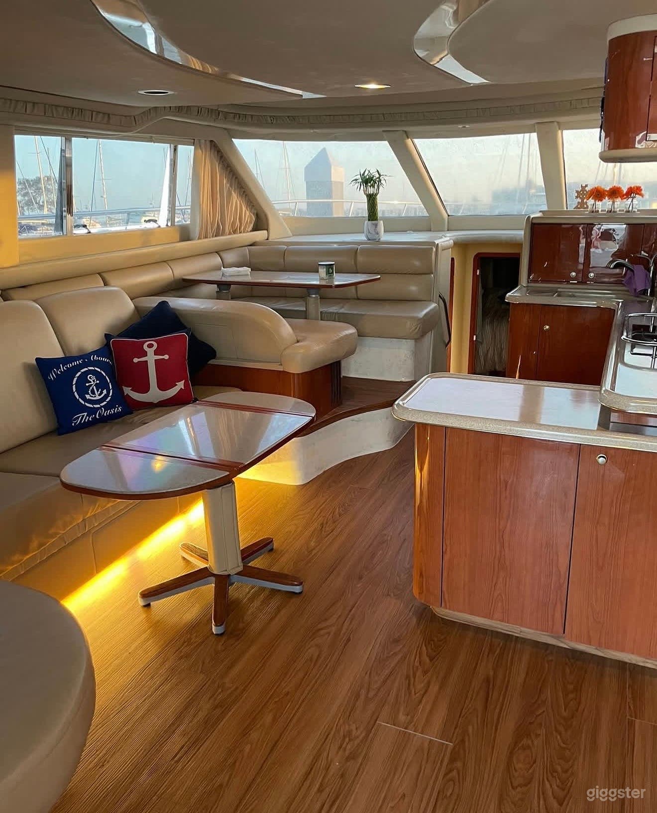 Luxury Sea Ray 480 Sedan Bridge Yacht Charter Photo 4
