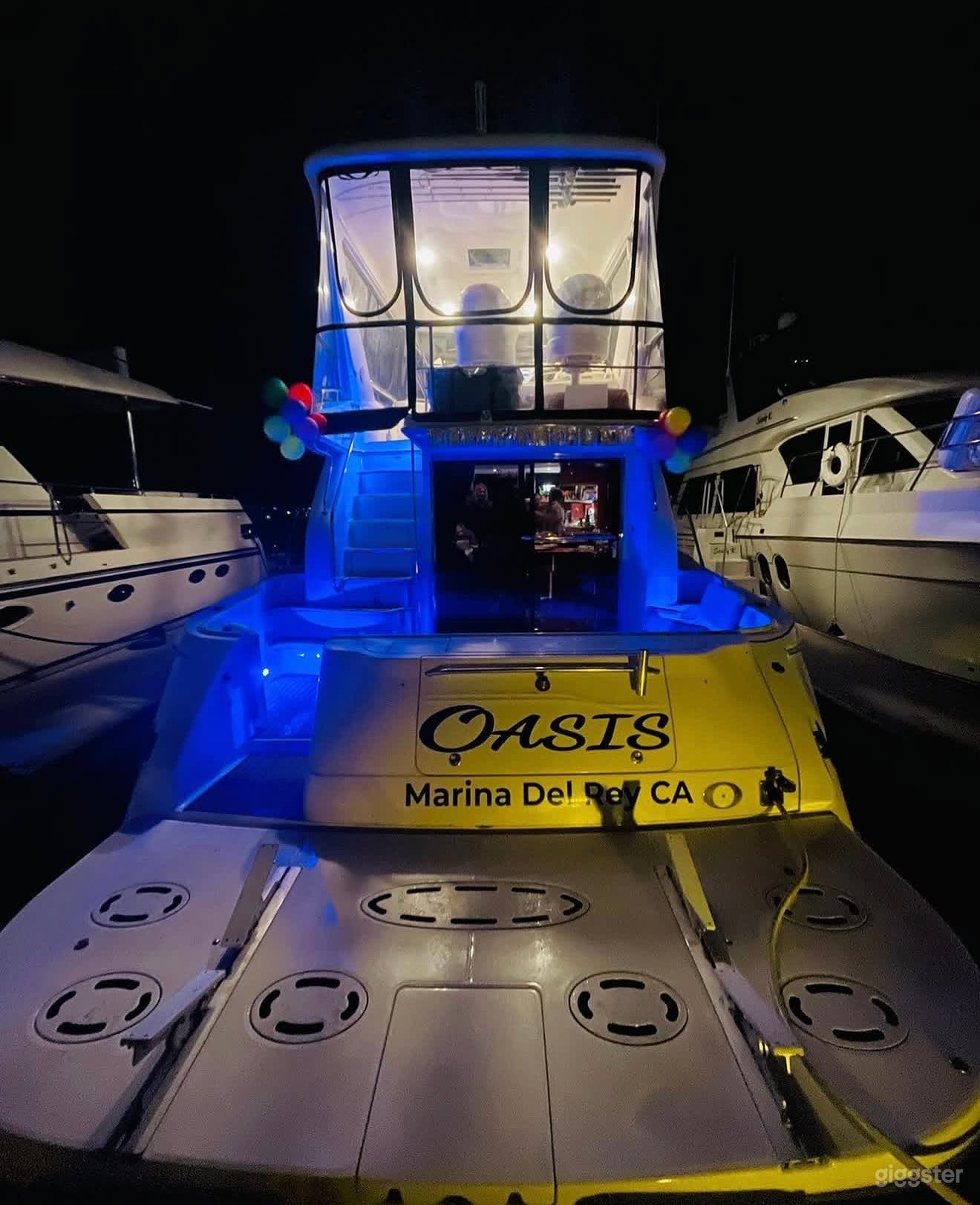 Luxury Sea Ray 480 Sedan Bridge Yacht Charter Photo 3