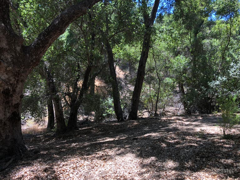  The property is situated in a beautiful rural setting nestled among many mature Oak Trees, beautiful valleys with mountaintop mini pads for lighting and camera setting.   