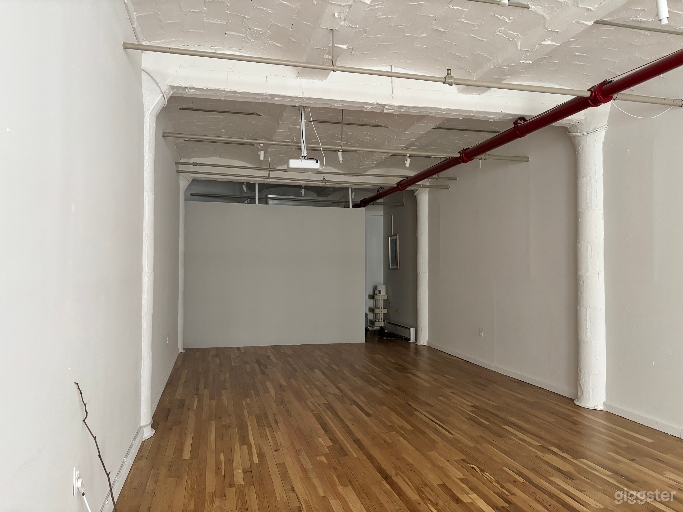Peaceful Multipurpose Movement Space Photo 4