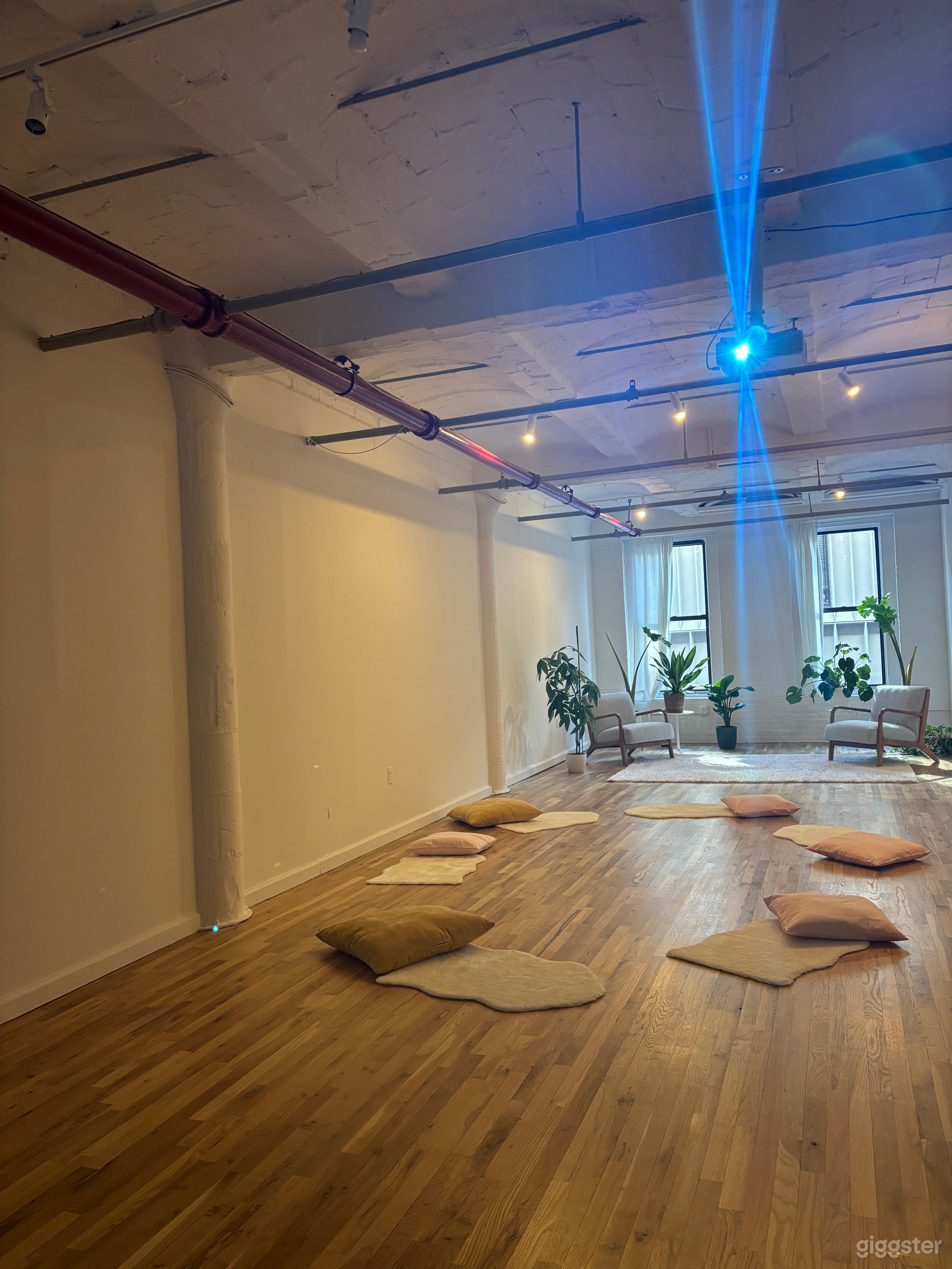 Peaceful Multipurpose Movement Space Photo 3