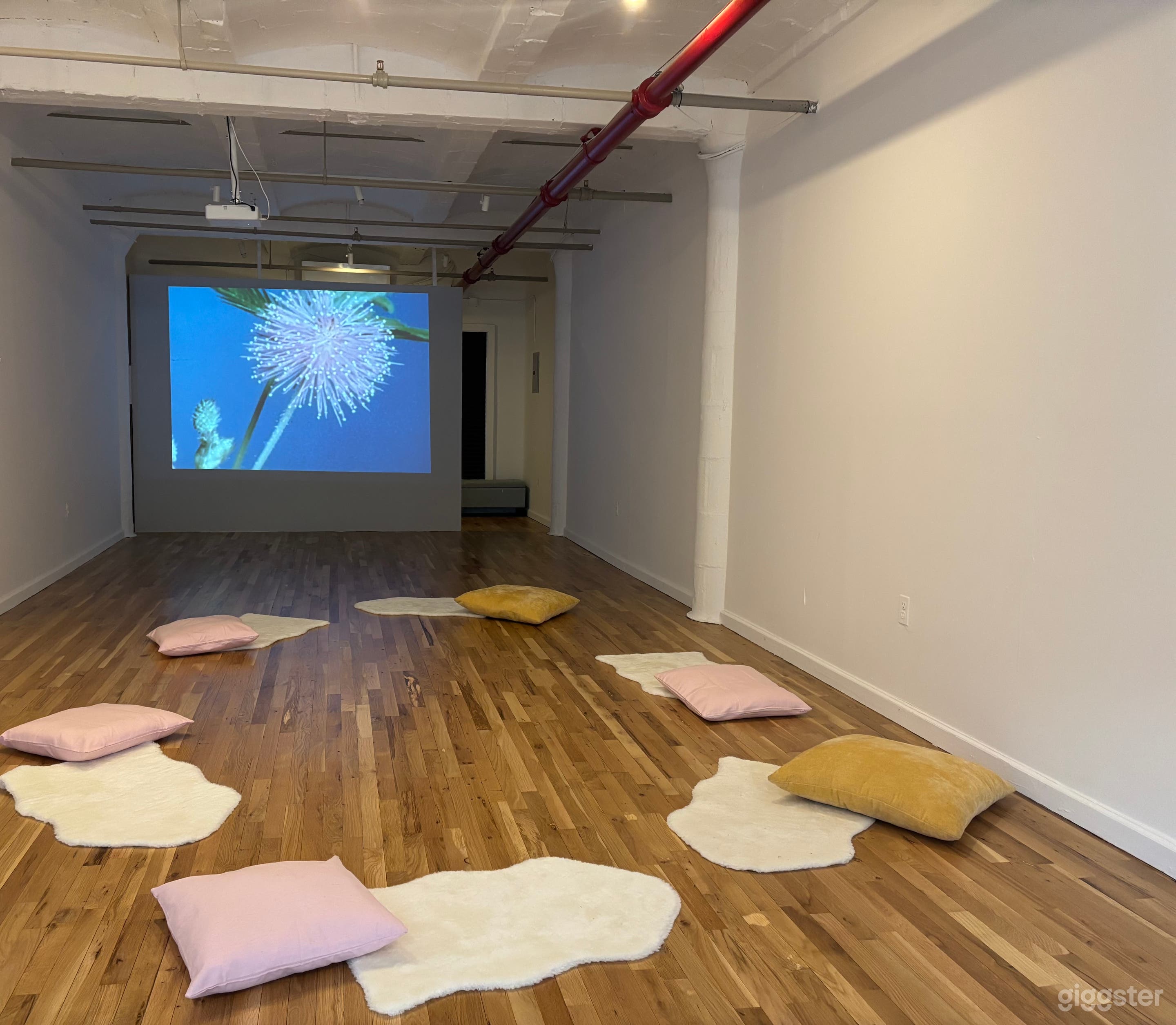 Peaceful Multipurpose Movement Space Photo 2