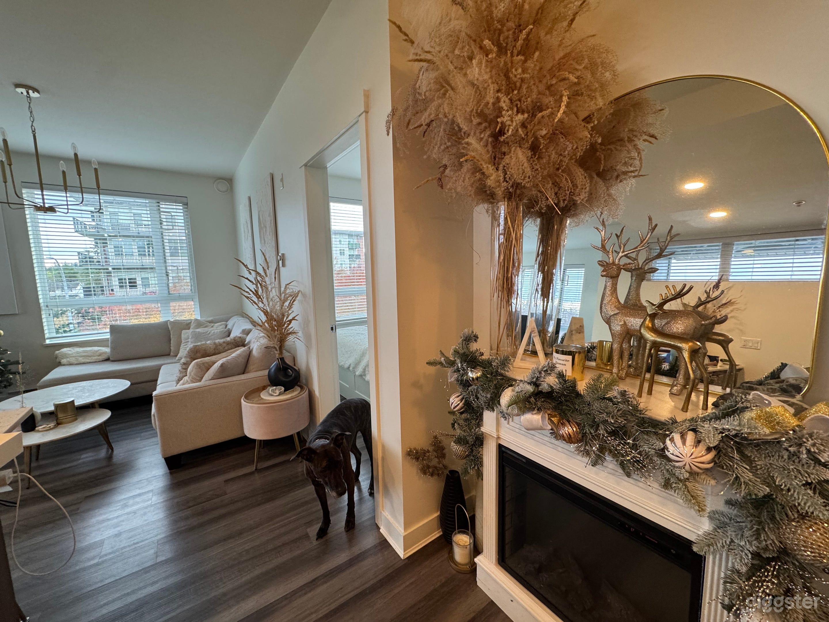 Stunning, sunlit condo with master bedroom  Photo 2