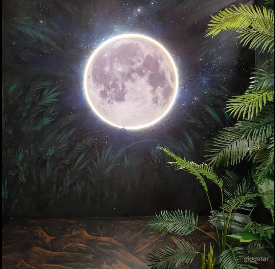 Luna Flora Photography Studio Set Photo 4