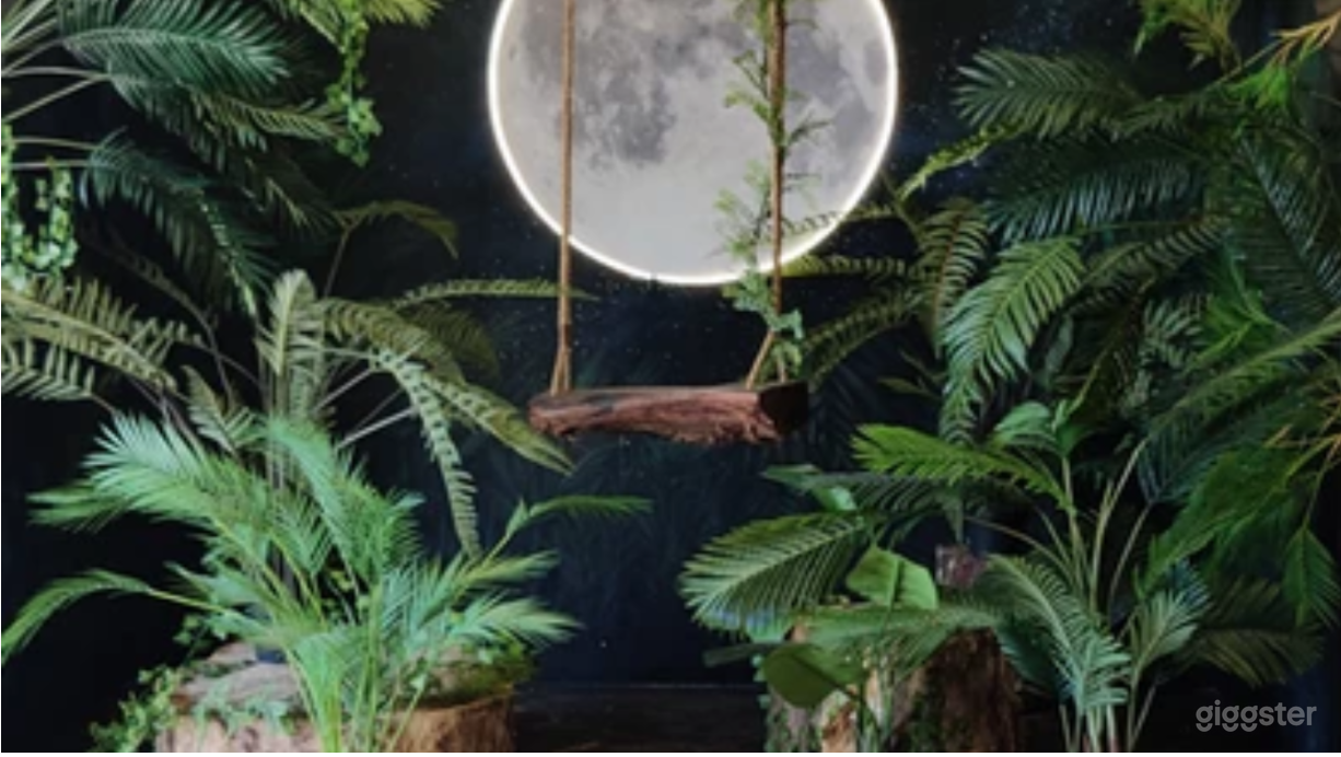 Luna Flora Photography Studio Set Photo 1