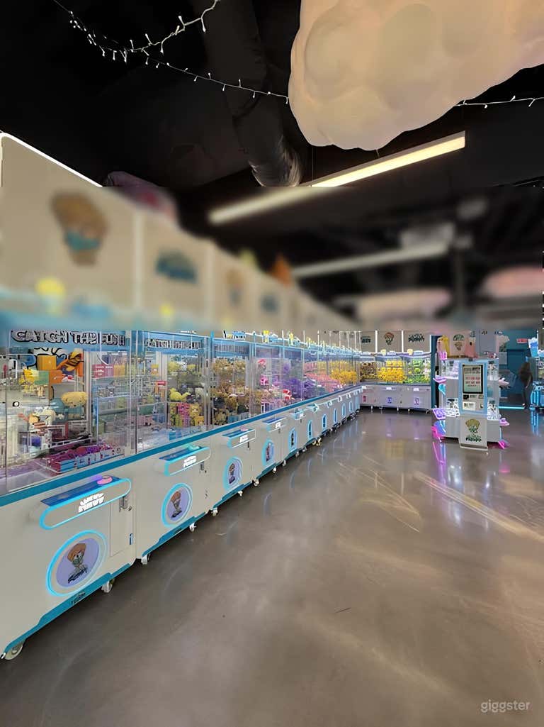  Claw Machine Arcade for Parties or a Fun Photo/Video Setting 