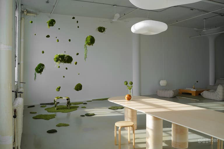  New York Style Gallery Studio Loft Space 