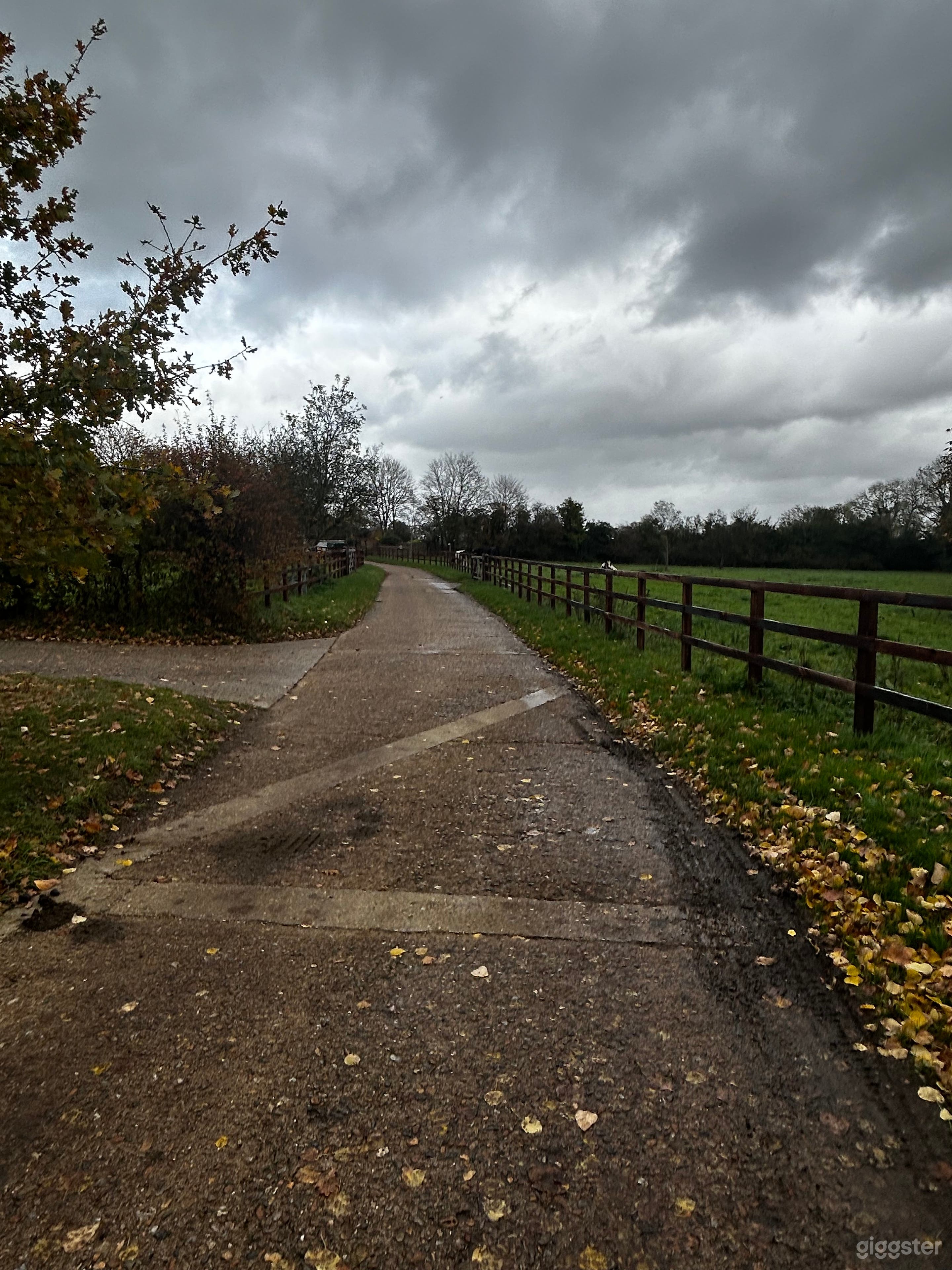 Beautiful Farm set in 90 acres Photo 4