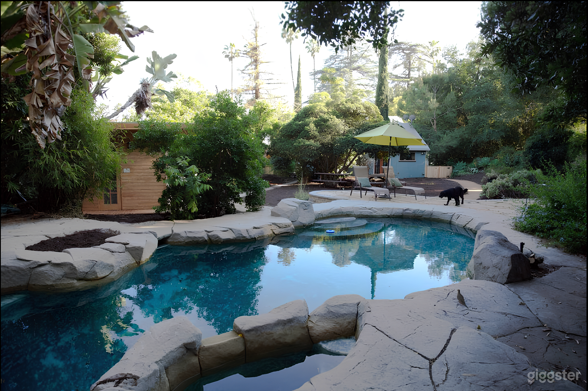 Exceptional, Historic Pool Photo 3