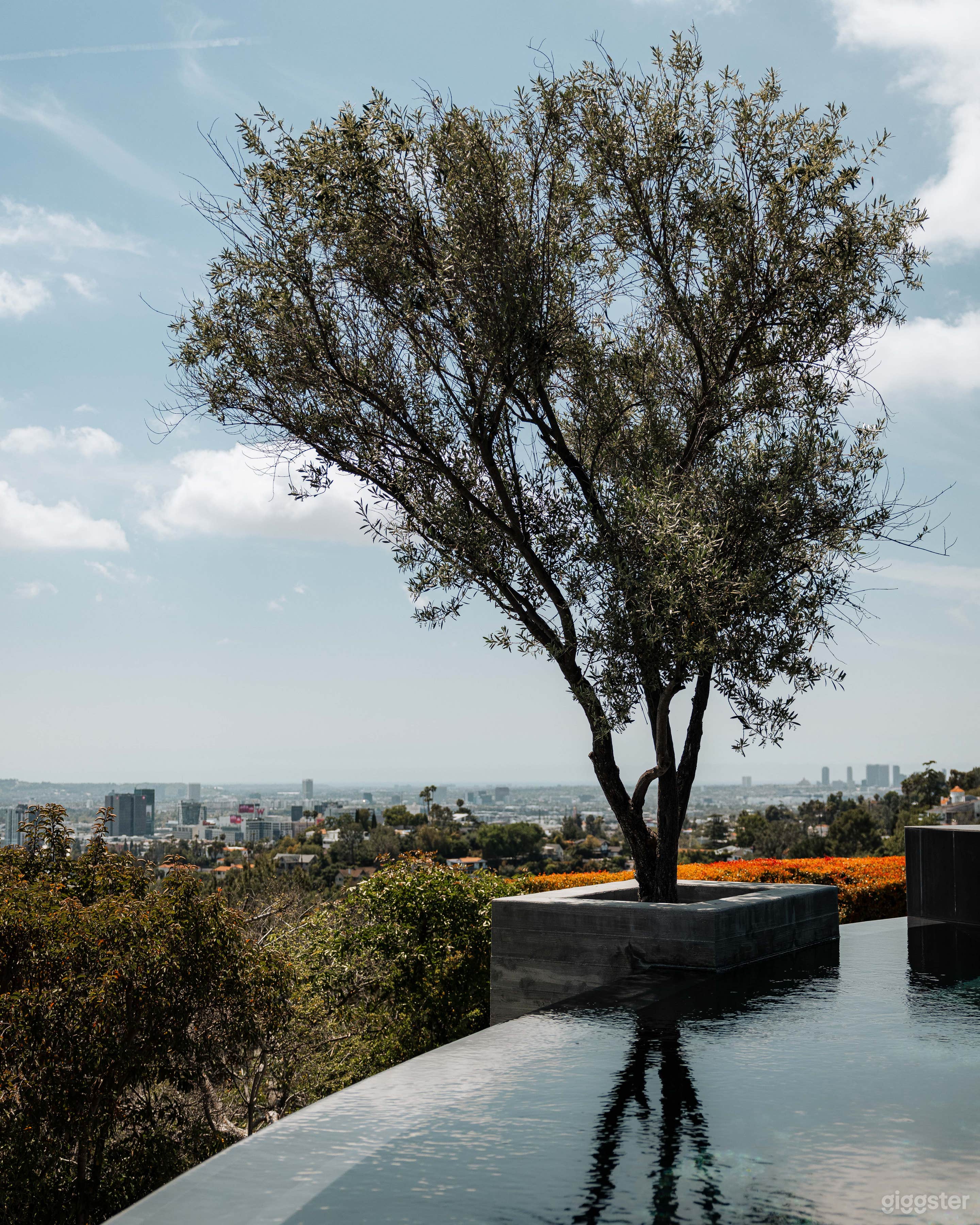 Architectural Home in the Hollywood Hills  Photo 4