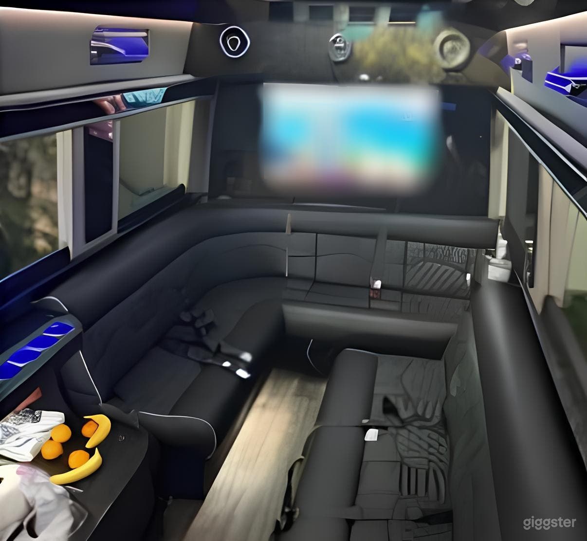 2023 Mercedes-Benz Sprinter Limo Photo 2