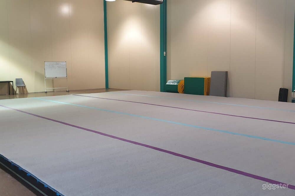 Amazing Cheer &amp; Dance Gymnasium in Loganholme, QLD Photo 1