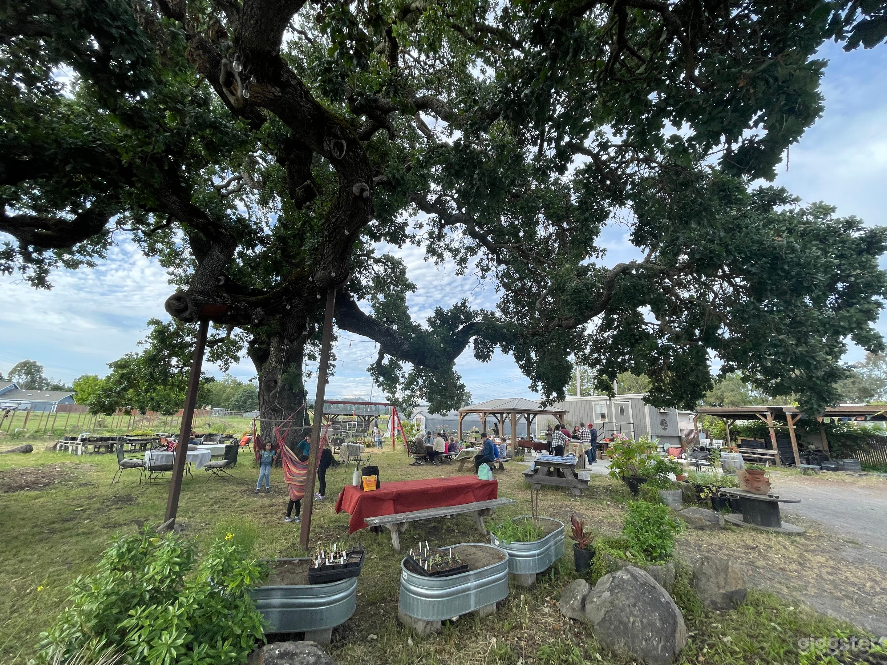 Rustic Farm w/ Oak Tree - Events &amp; Photo Shoots Photo 1