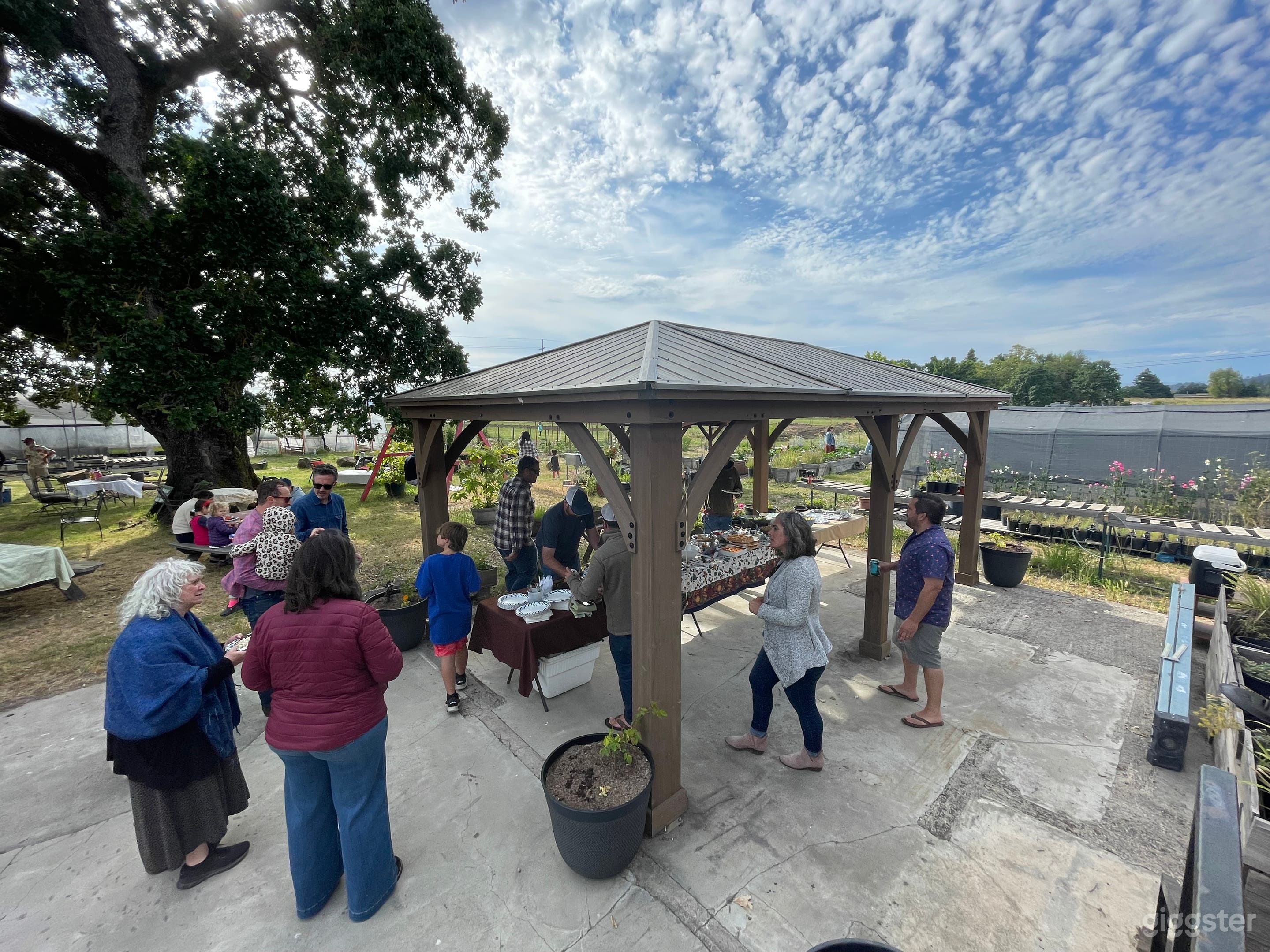 Rustic Farm w/ Oak Tree - Events &amp; Photo Shoots Photo 3