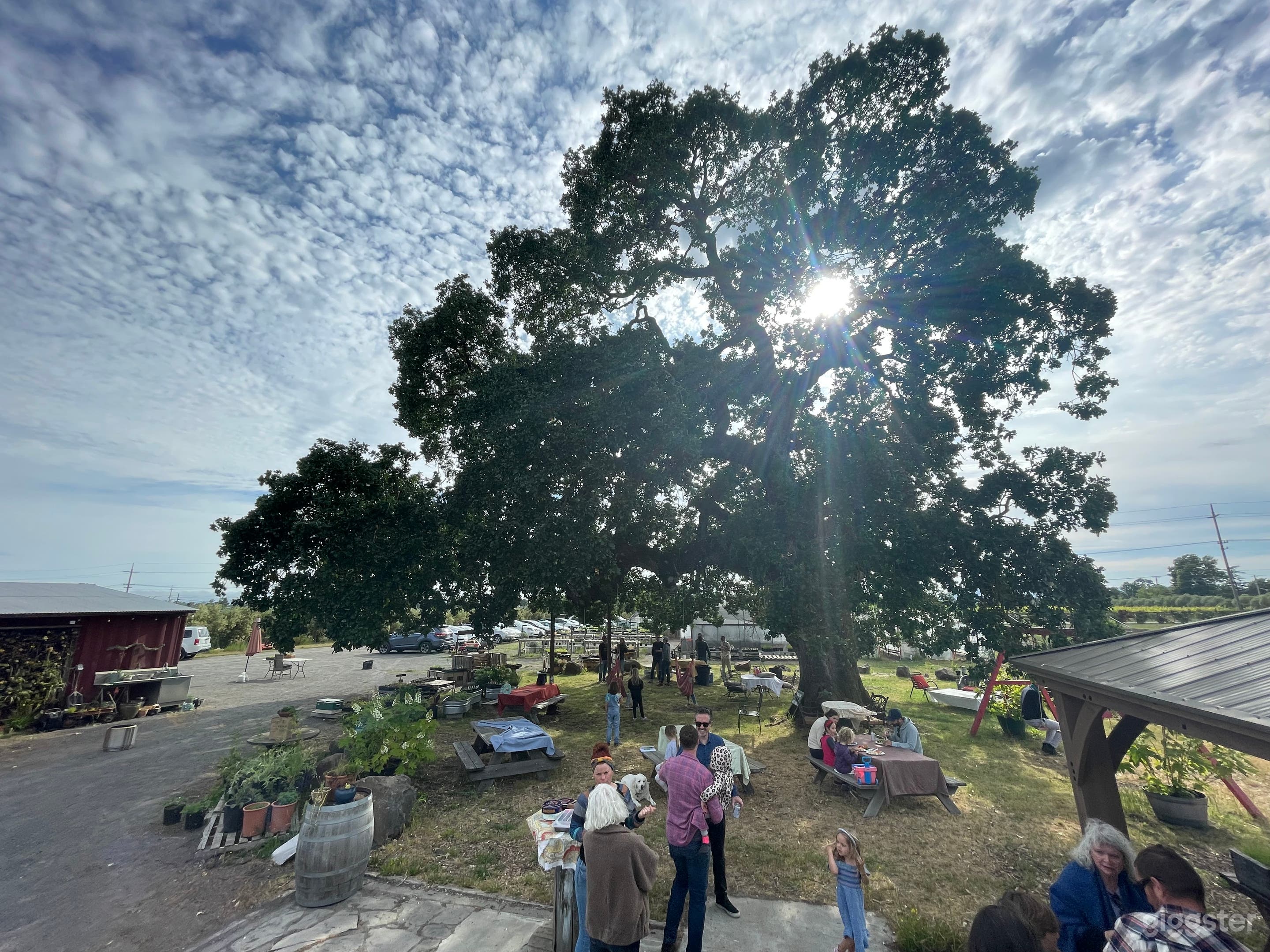 Rustic Farm w/ Oak Tree - Events &amp; Photo Shoots Photo 2