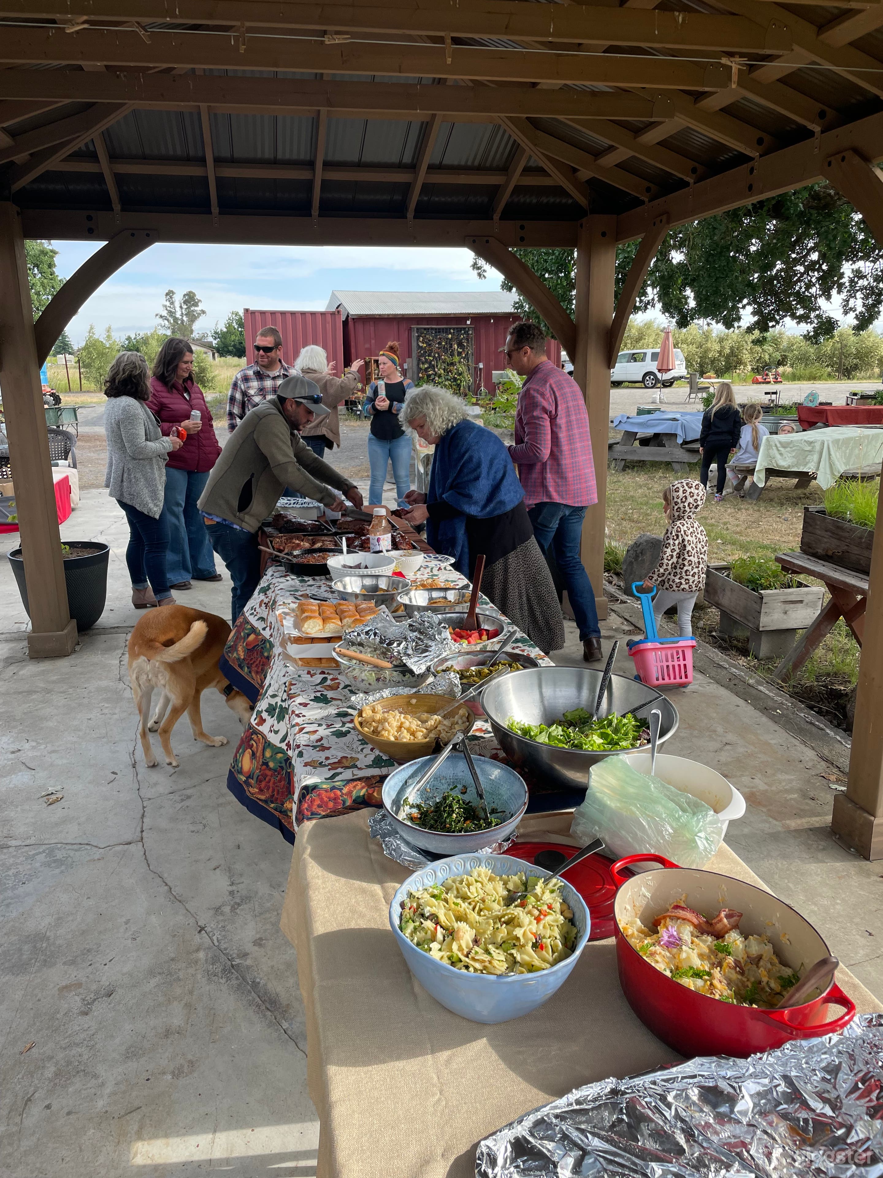 Rustic Farm w/ Oak Tree - Events &amp; Photo Shoots Photo 4
