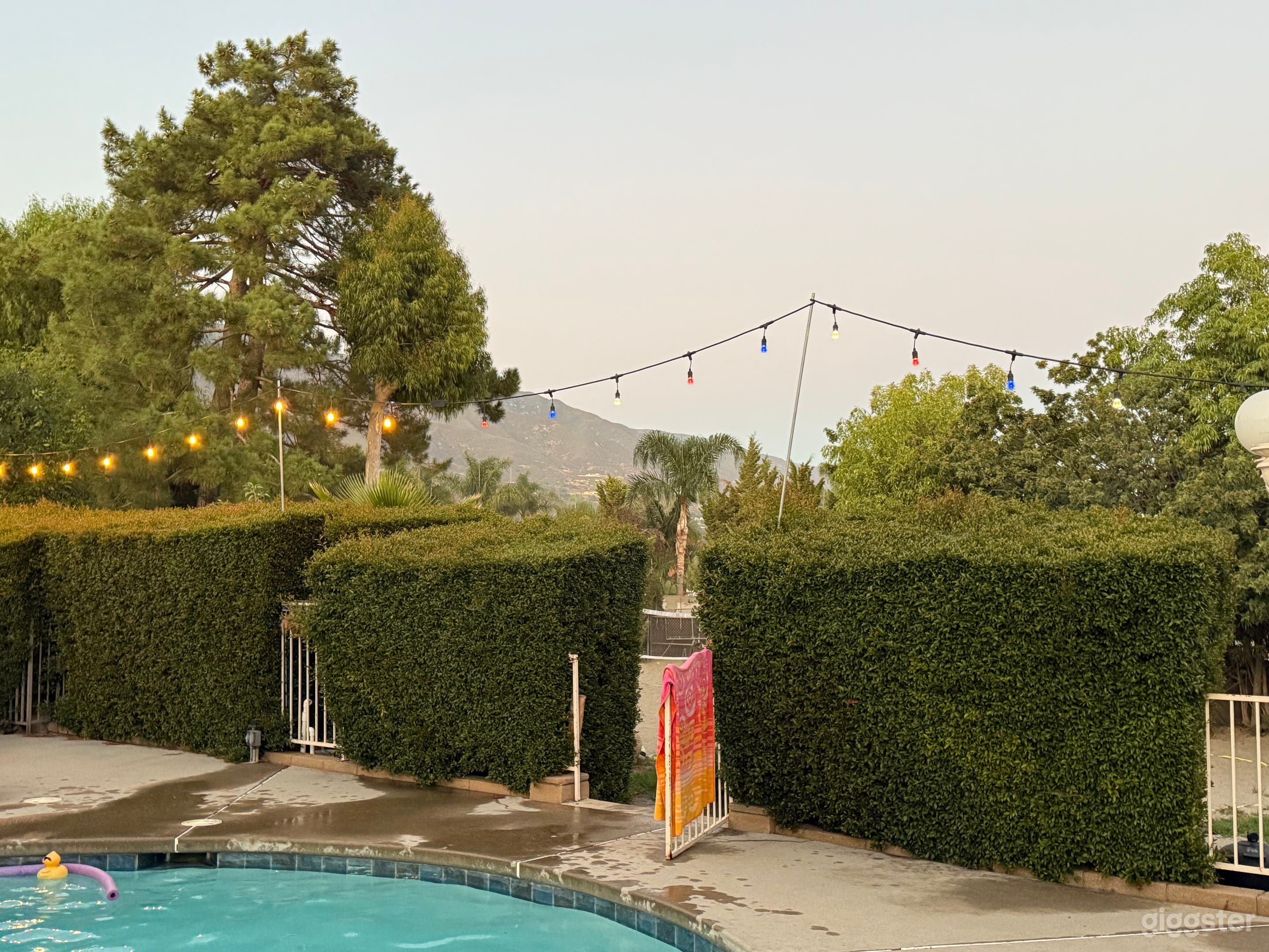 The Backyard Club Photo 2