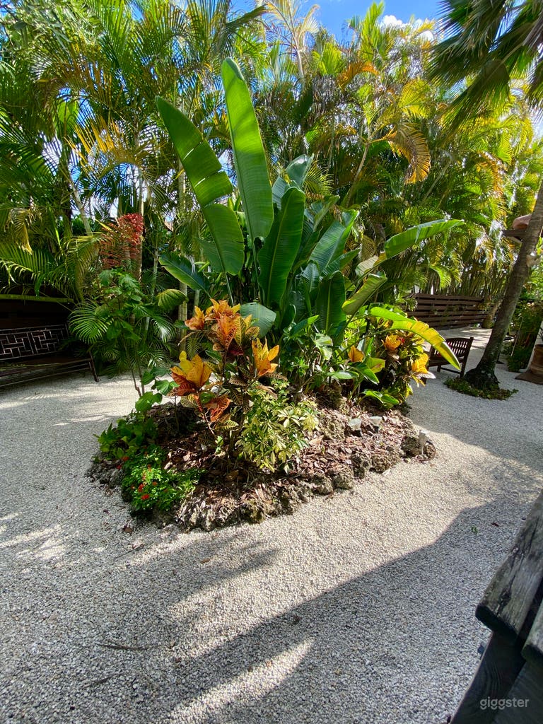  Tropical Oasis Backyard for Entertainment and Phot 