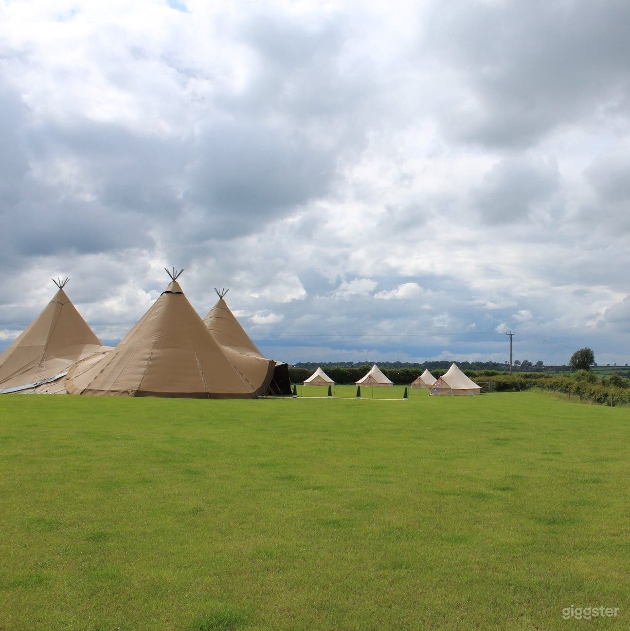 Wedding field