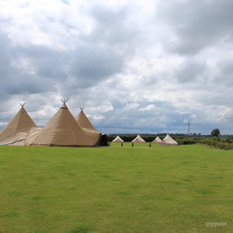  Wedding field 