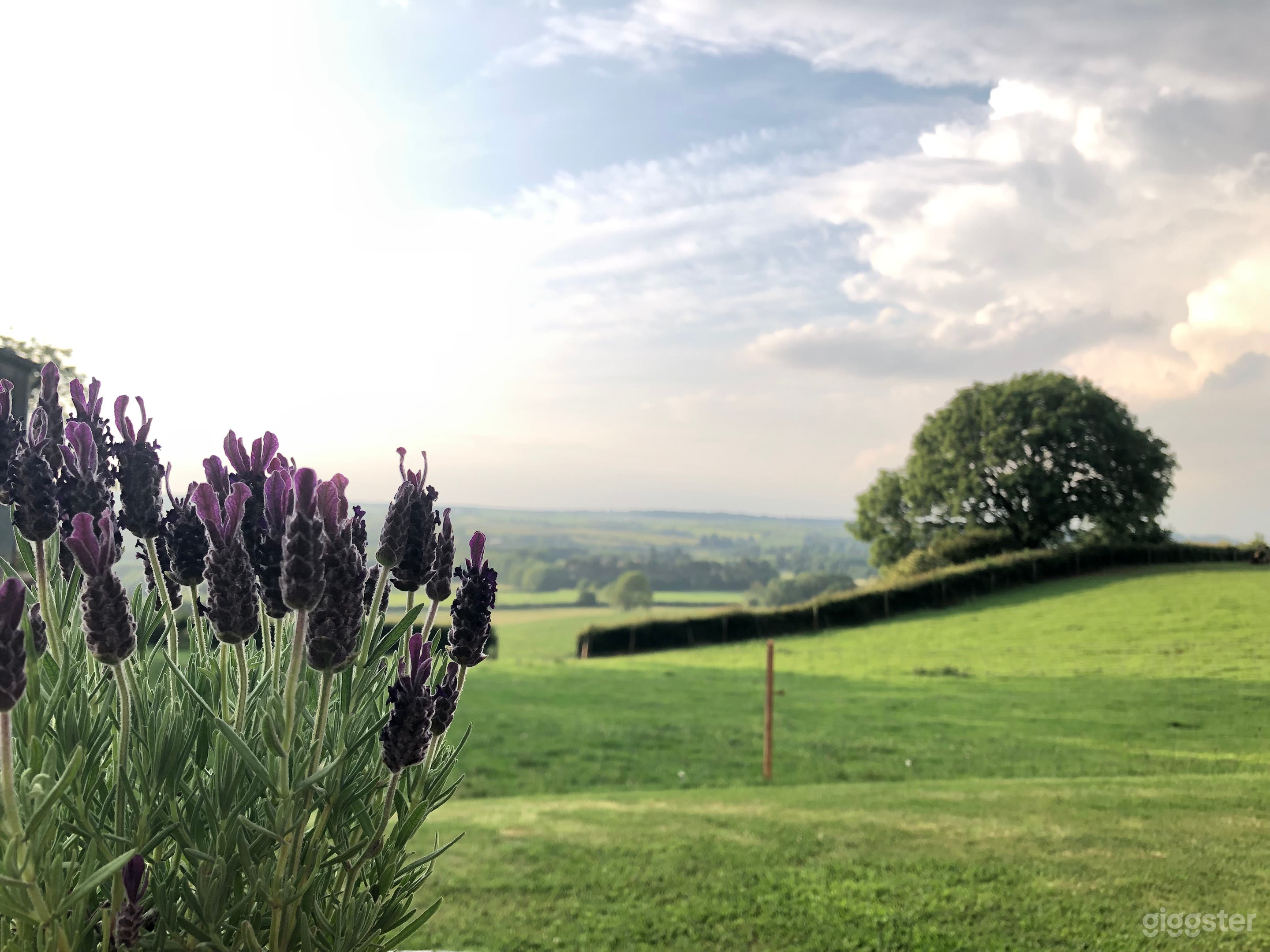 Rural views