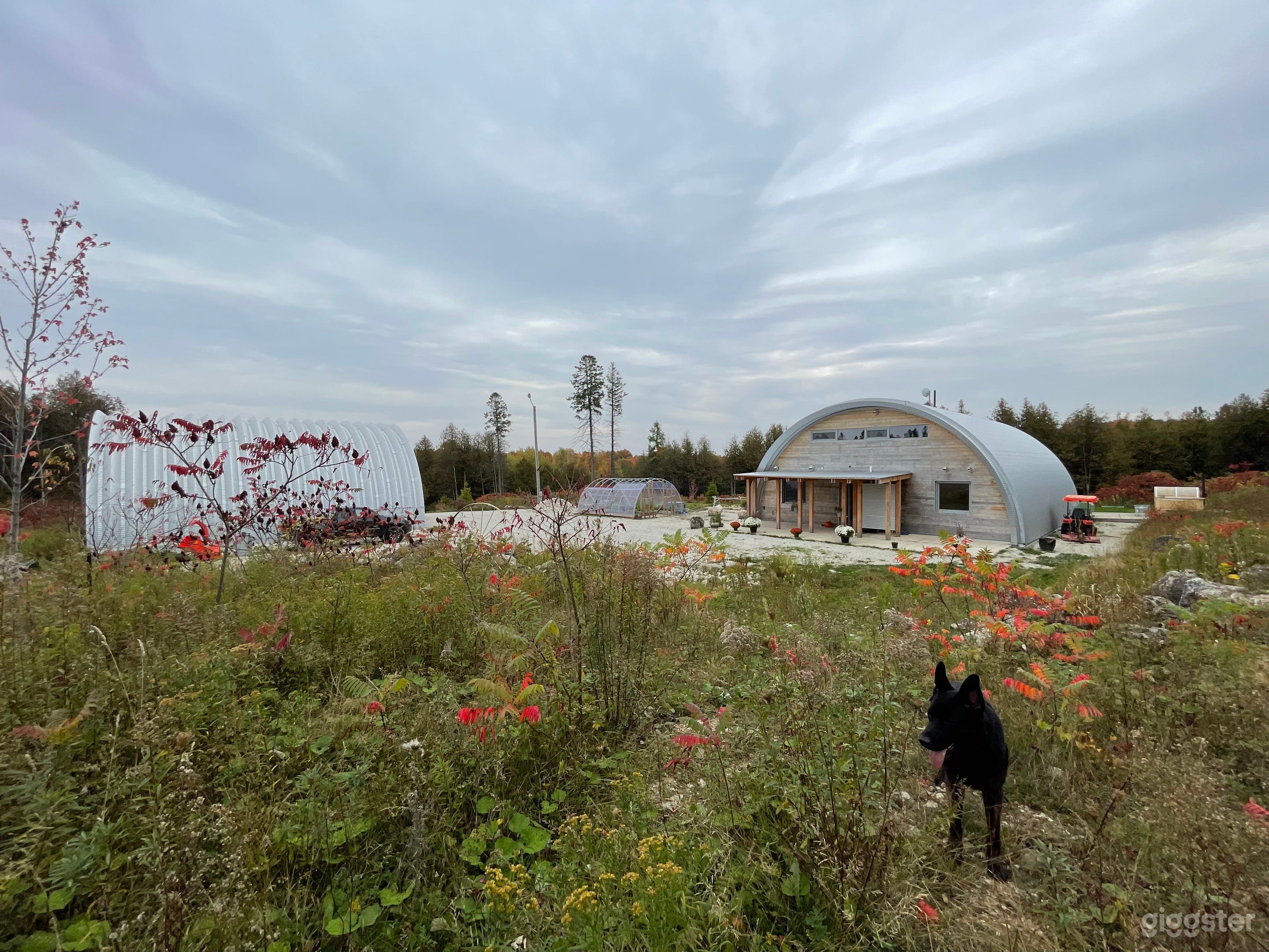 Soaring Steel Architectural Home Deco Retro Futur  Photo 4