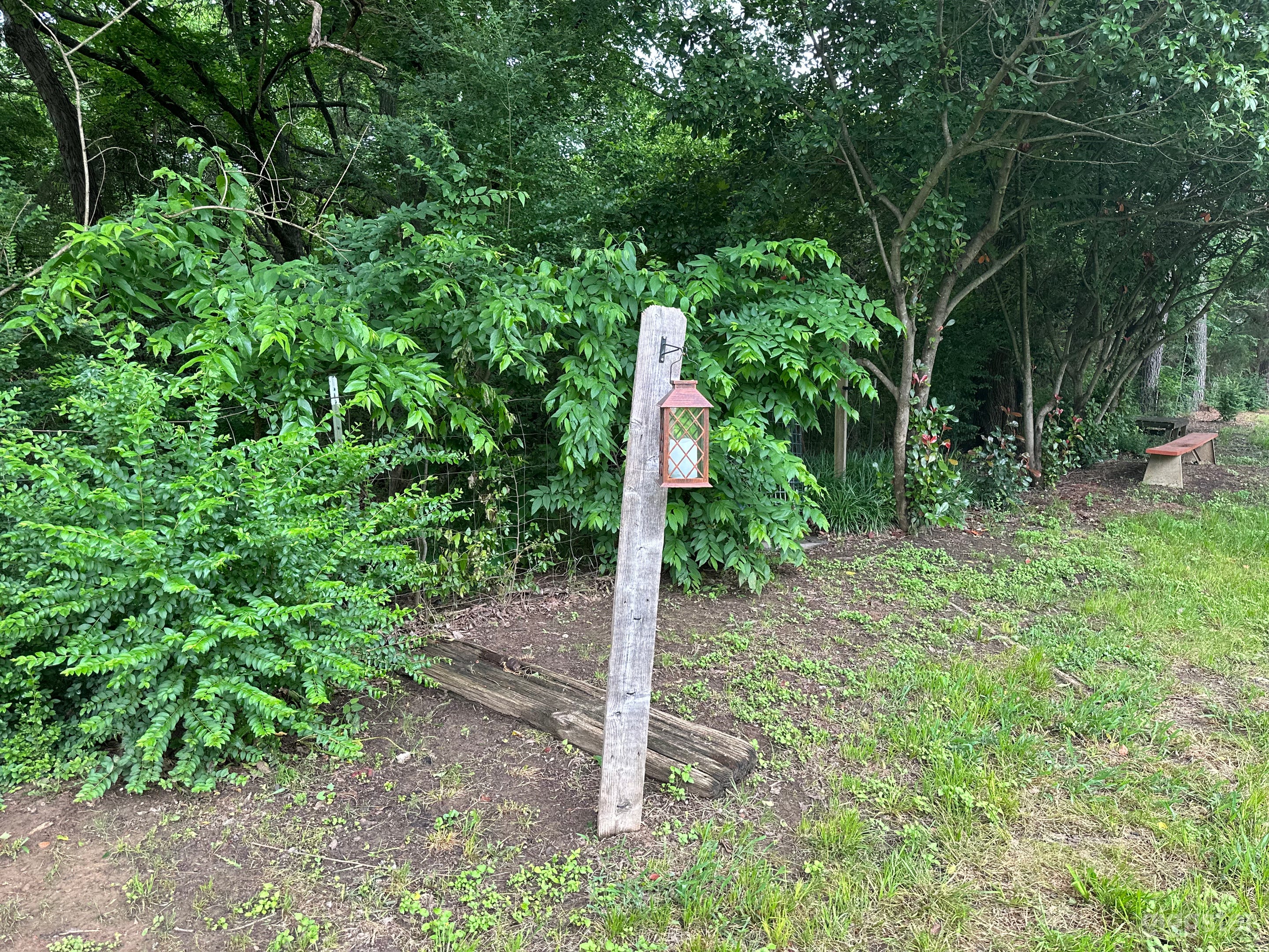 Pond fountain spectacular treed backdrop Photo 3