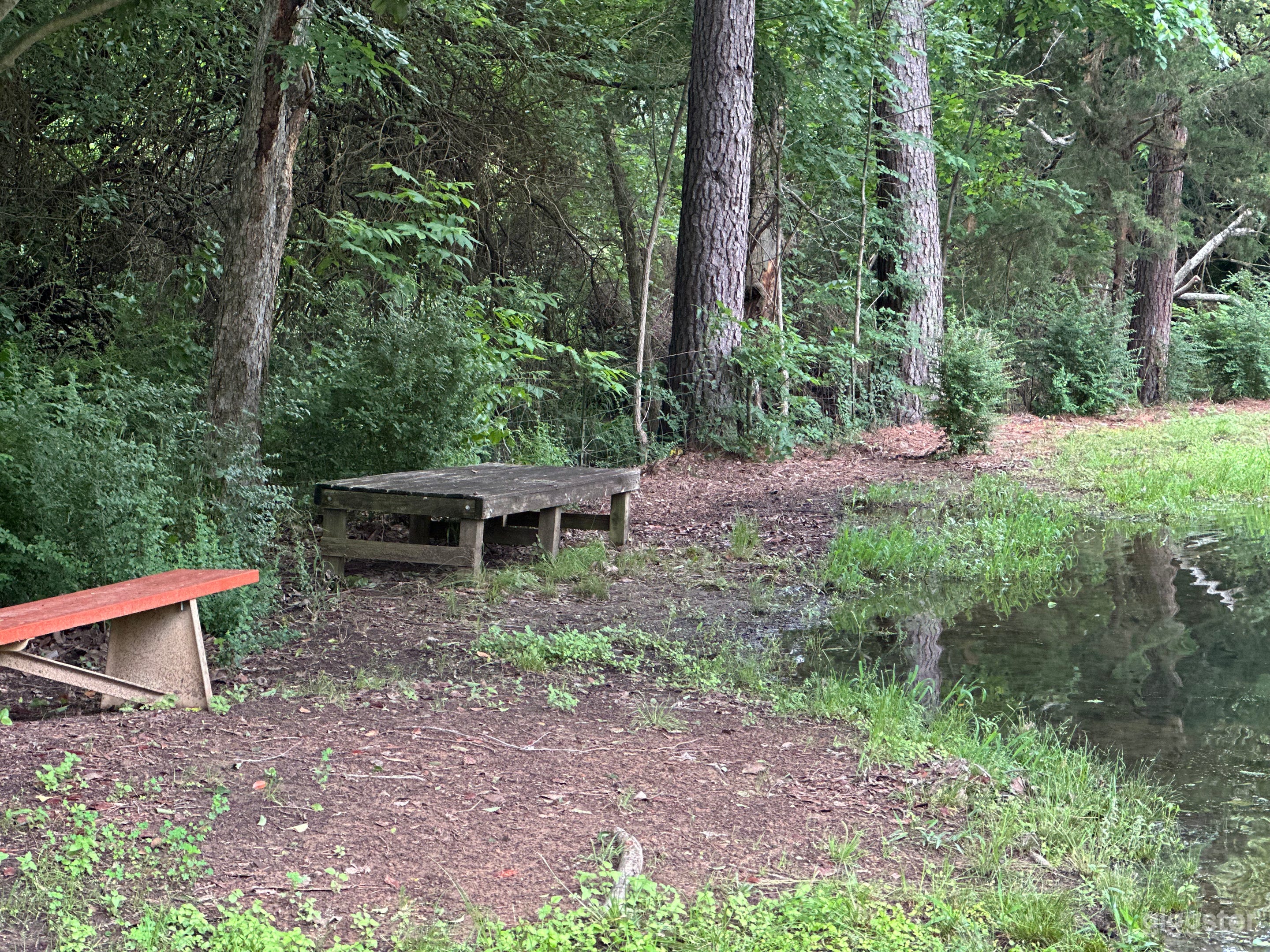 Benches near the pond