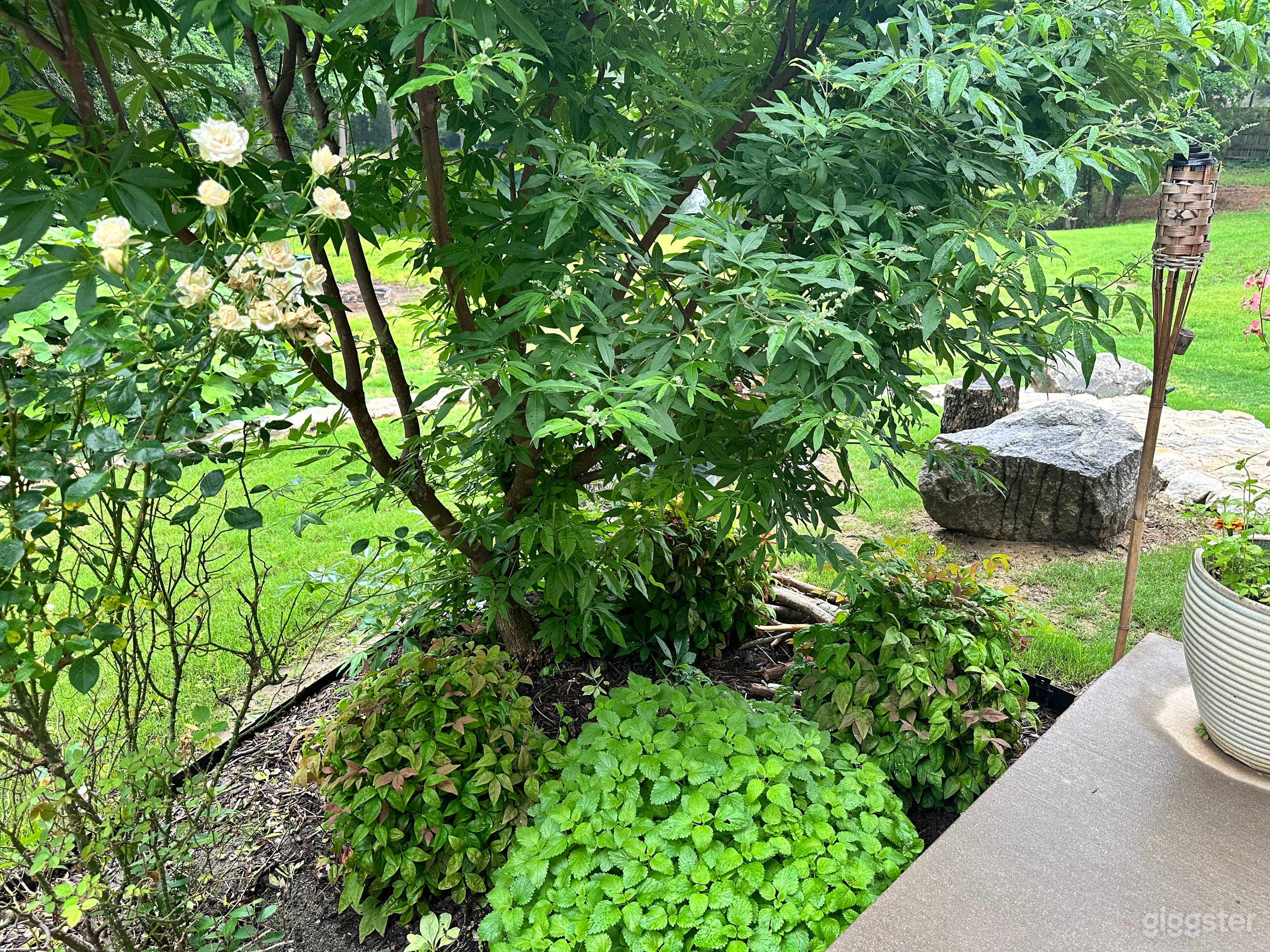 Pond fountain spectacular treed backdrop Photo 2